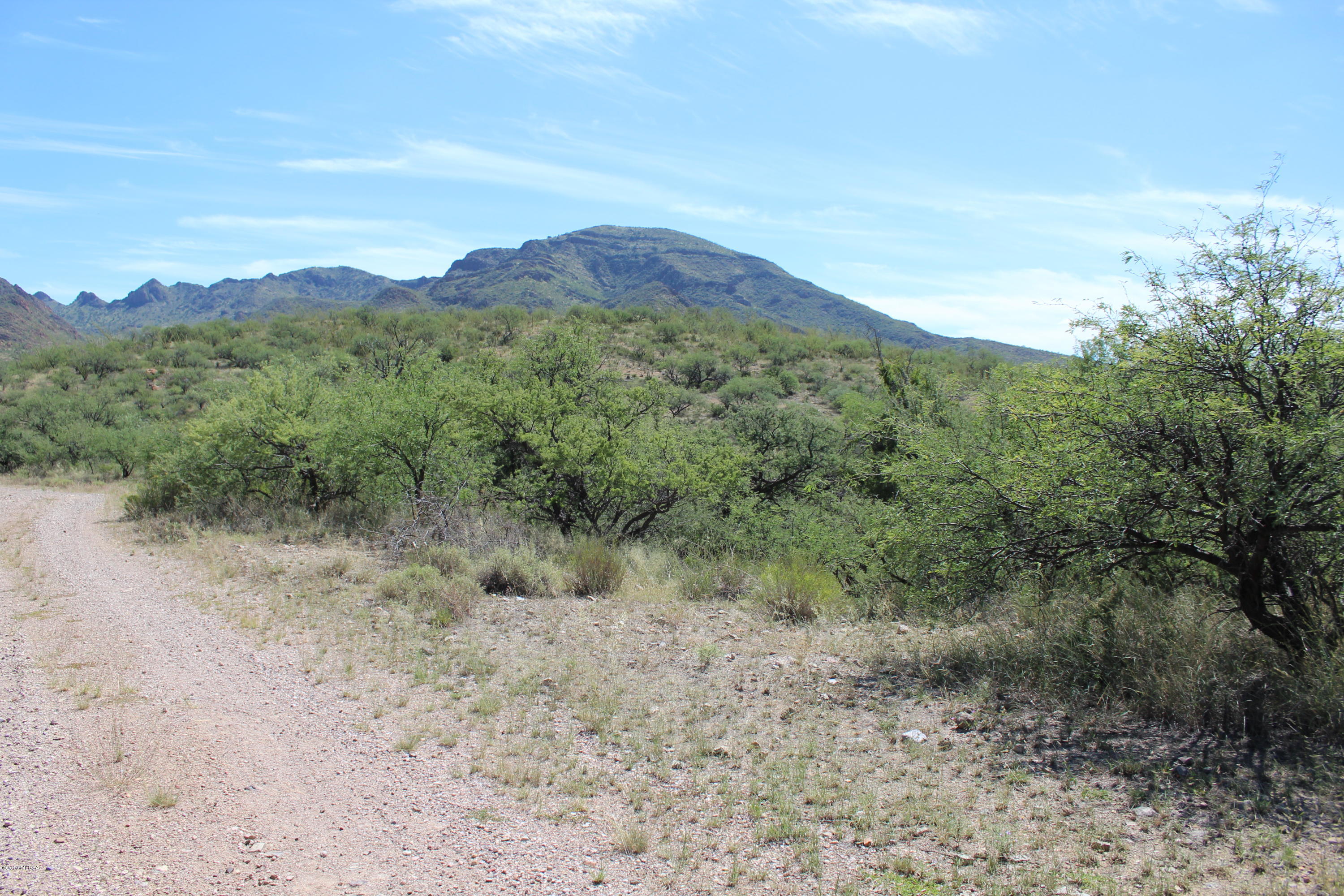 Morning Star Ranch - Land