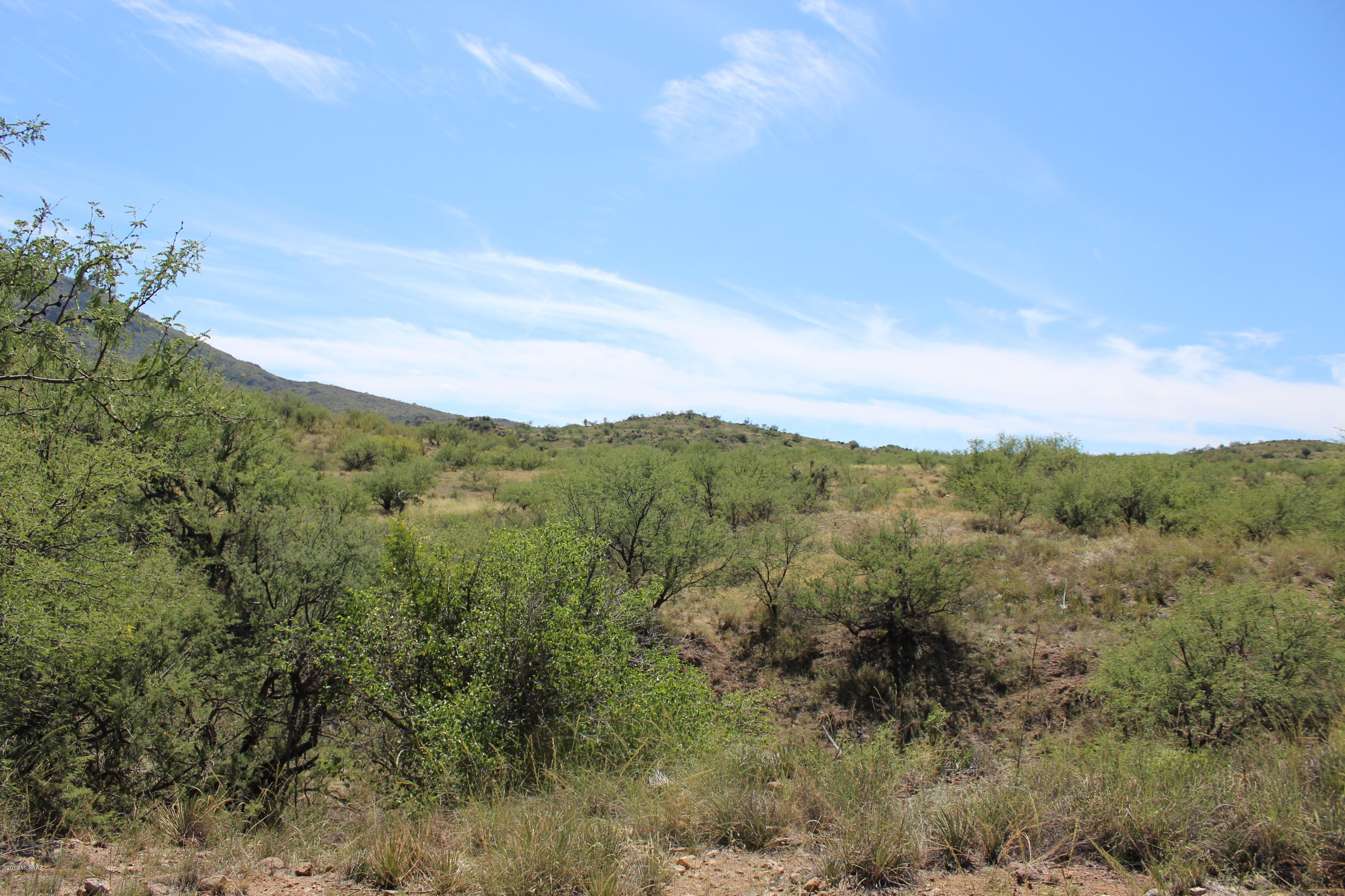 Morning Star Ranch - Land