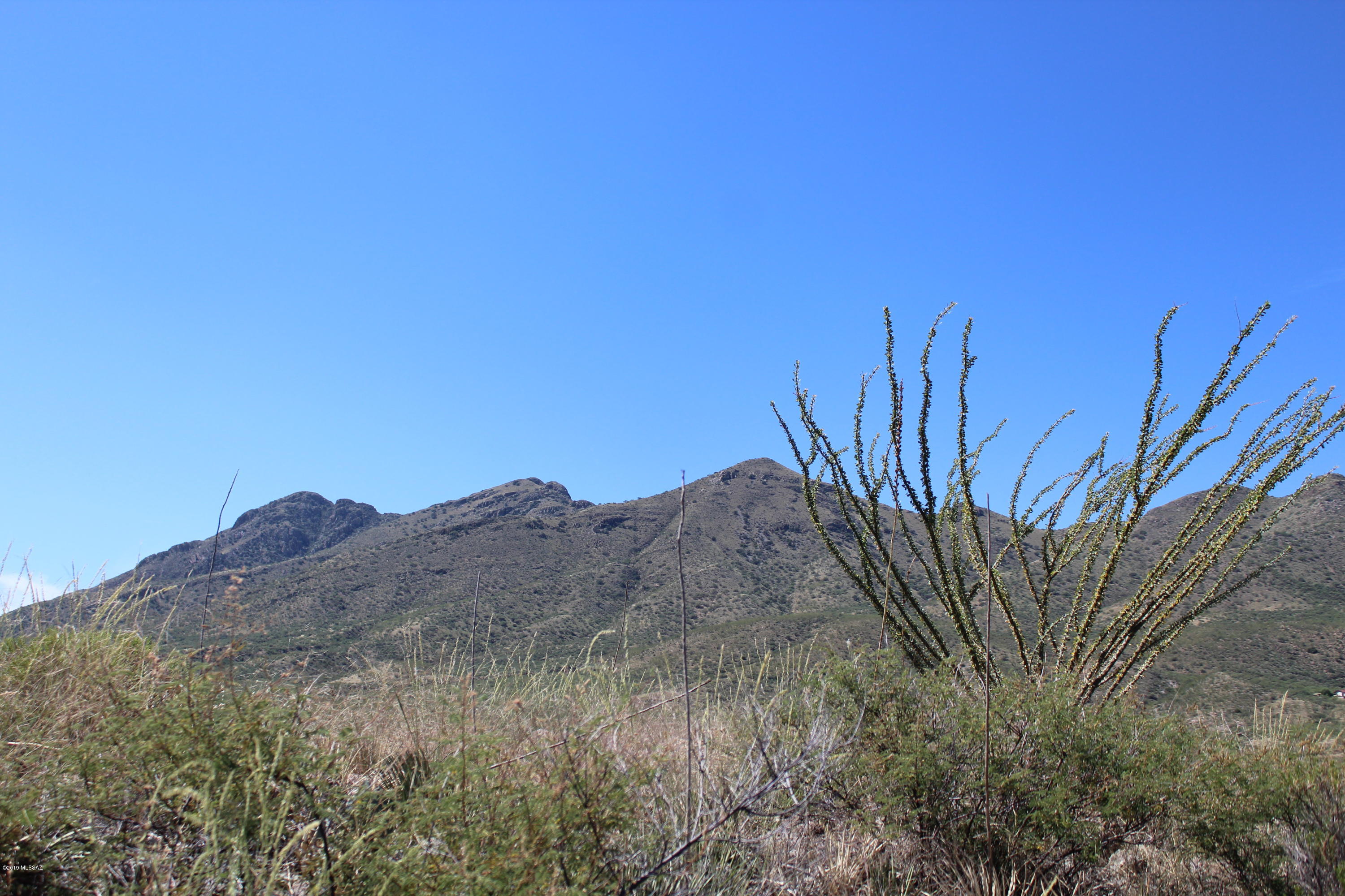 Morning Star Ranch - Land