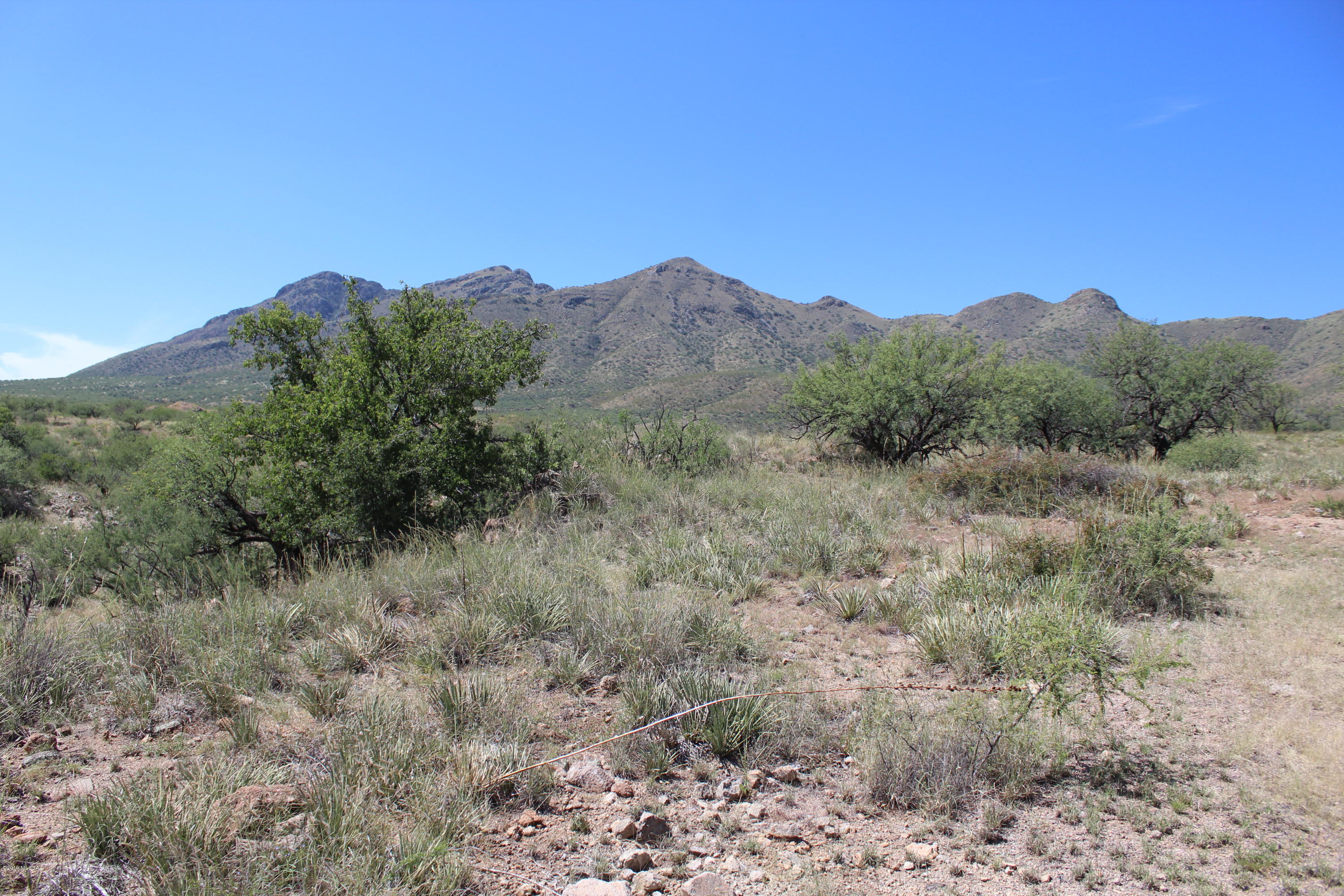 Morning Star Ranch - Land