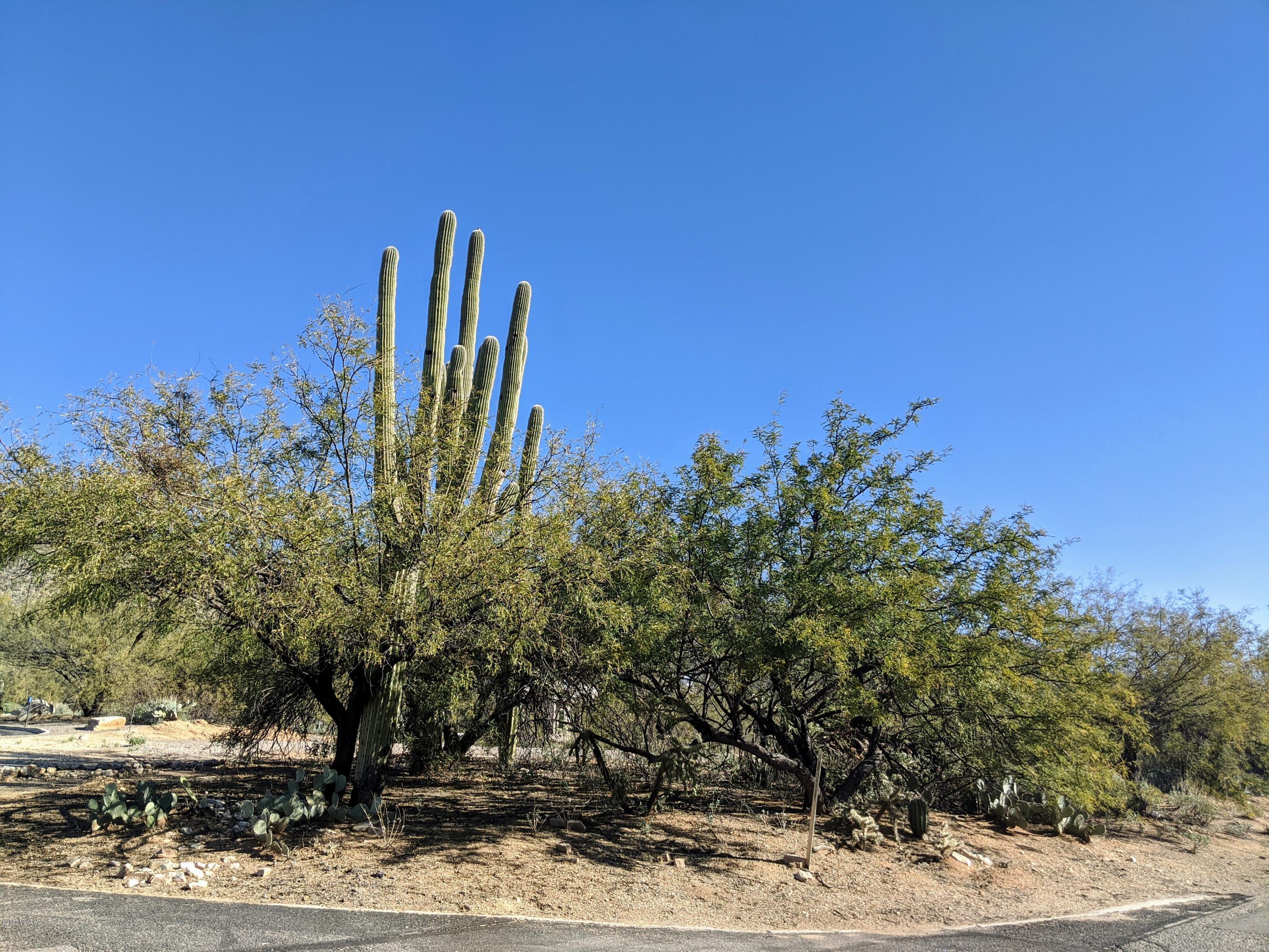 Jade Estates (1-4) - Land
