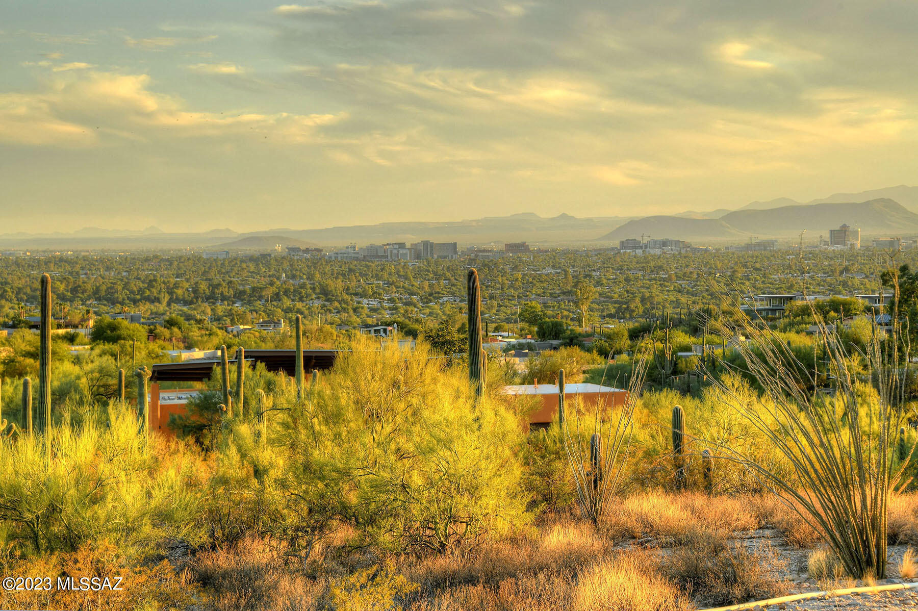 Quintana in the Catalina Foothills - Land