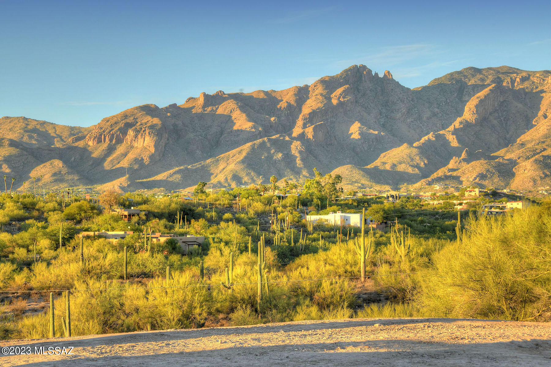 Quintana in the Catalina Foothills - Land