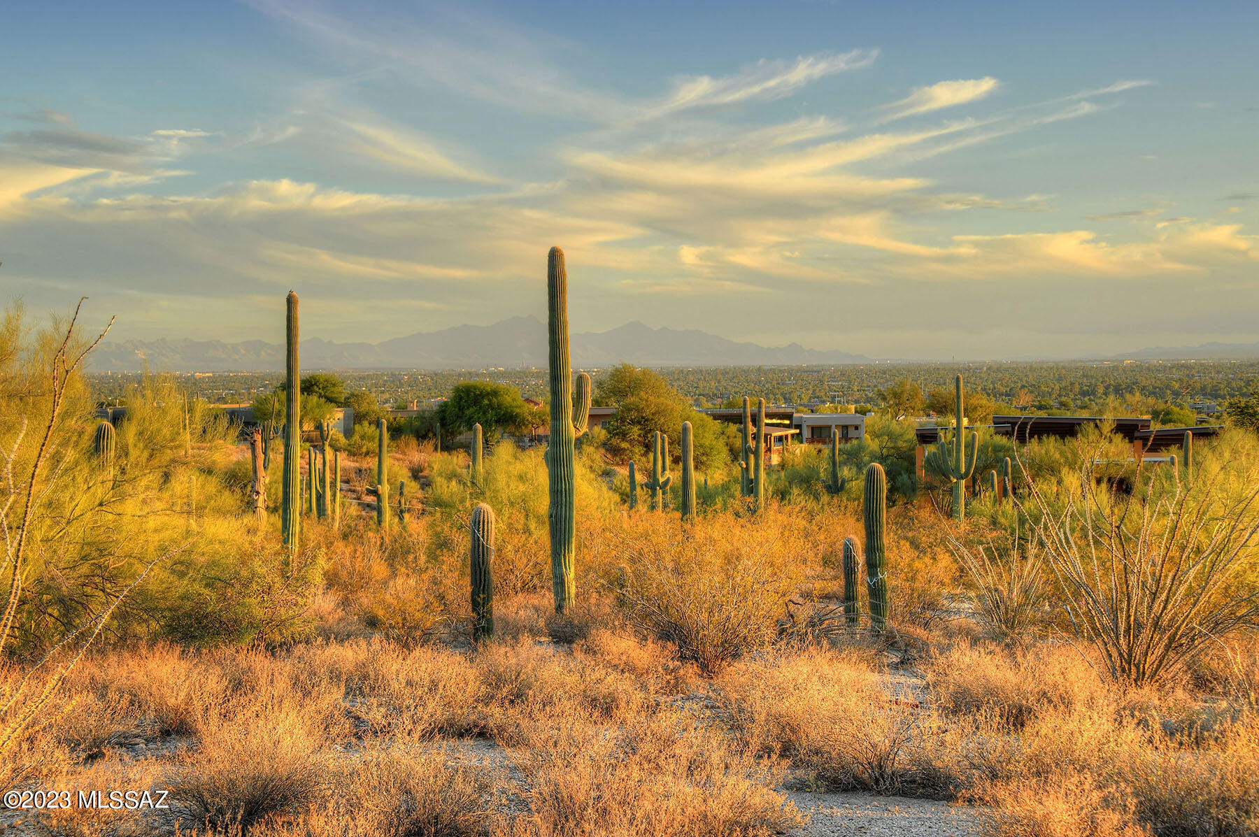 Quintana in the Catalina Foothills - Land