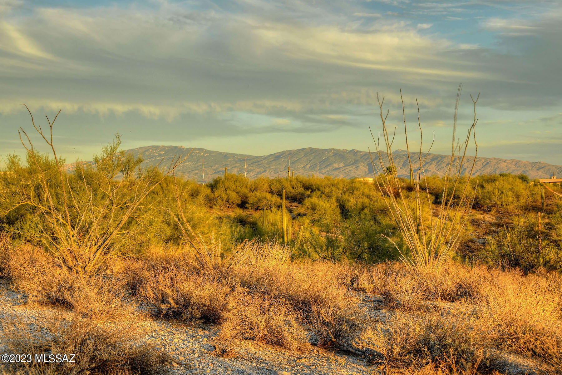 Quintana in the Catalina Foothills - Land