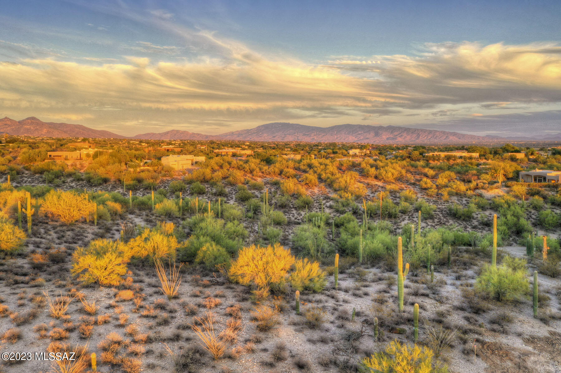 Quintana in the Catalina Foothills - Land