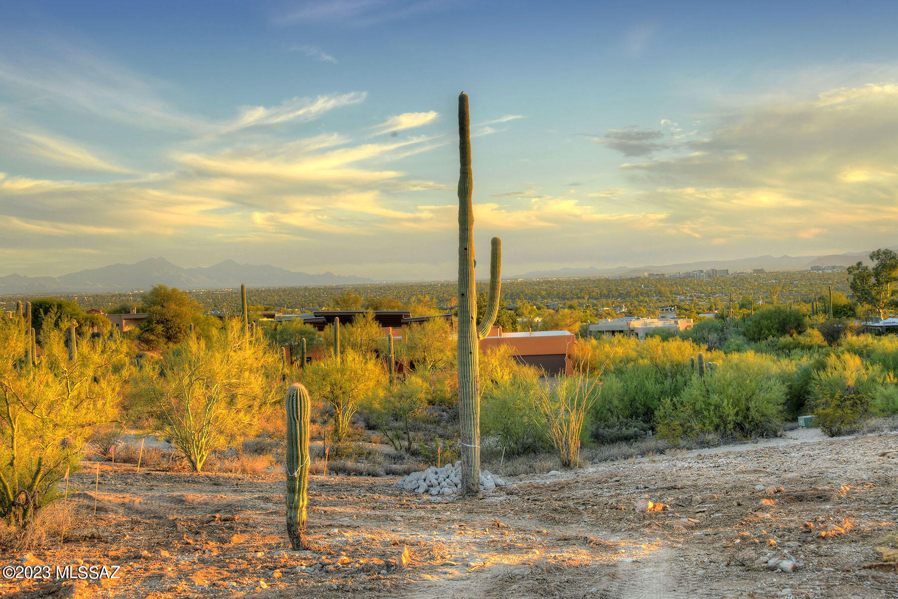 Quintana in the Catalina Foothills - Land