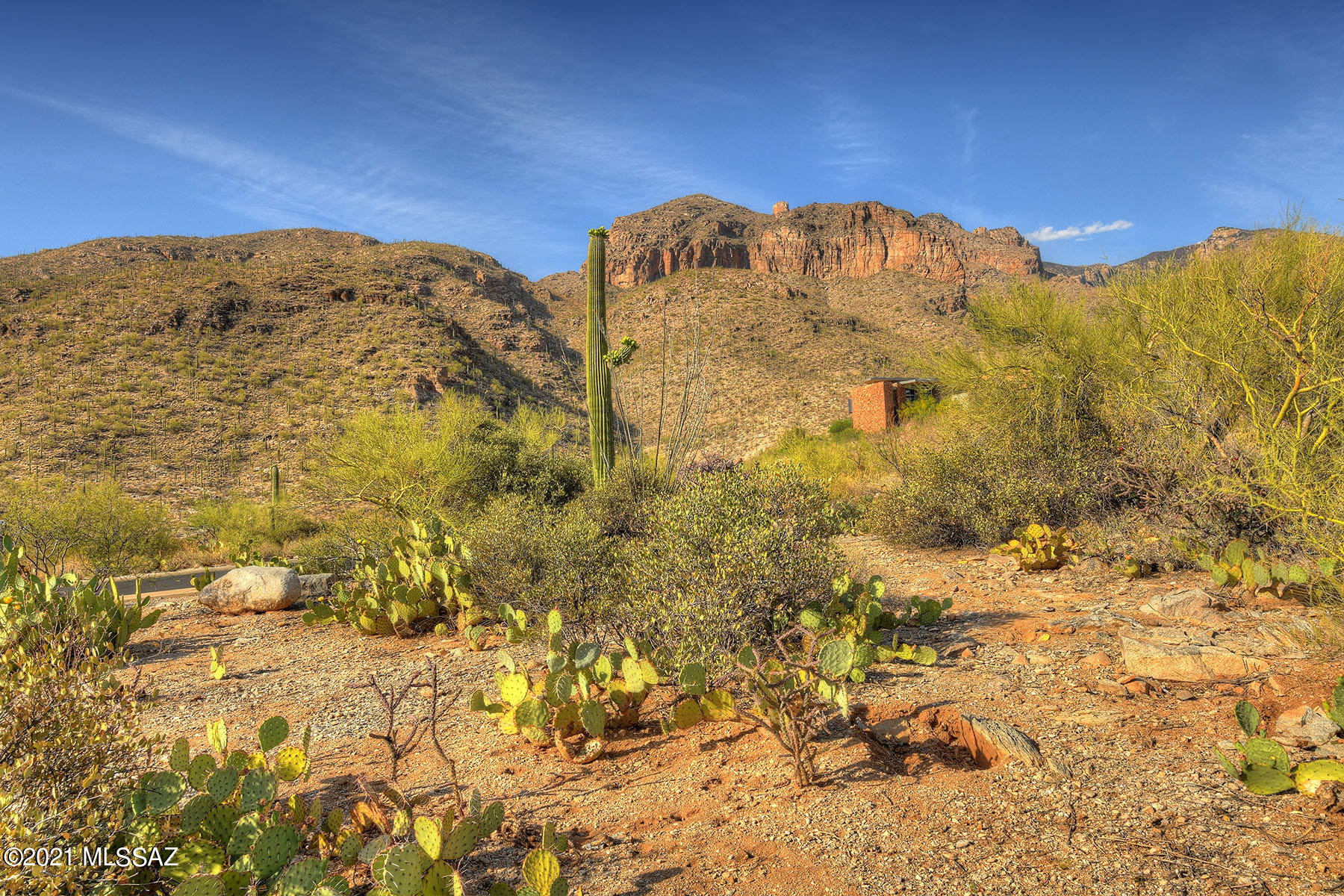 Catalina Ridge Estates(37-62) - Land