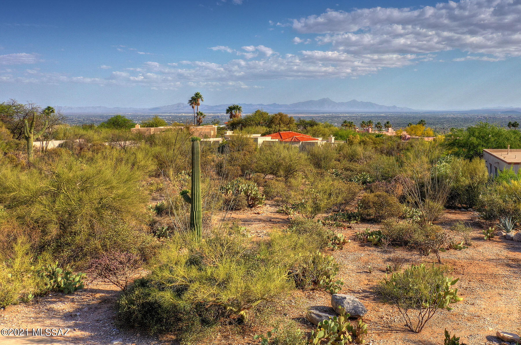Catalina Ridge Estates(37-62) - Land