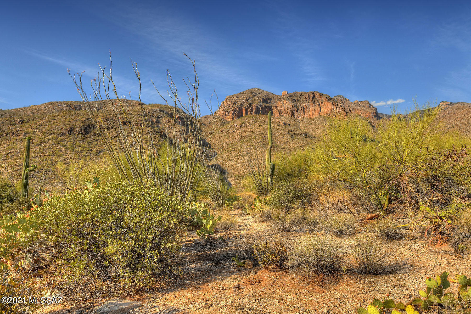 Catalina Ridge Estates(37-62) - Land
