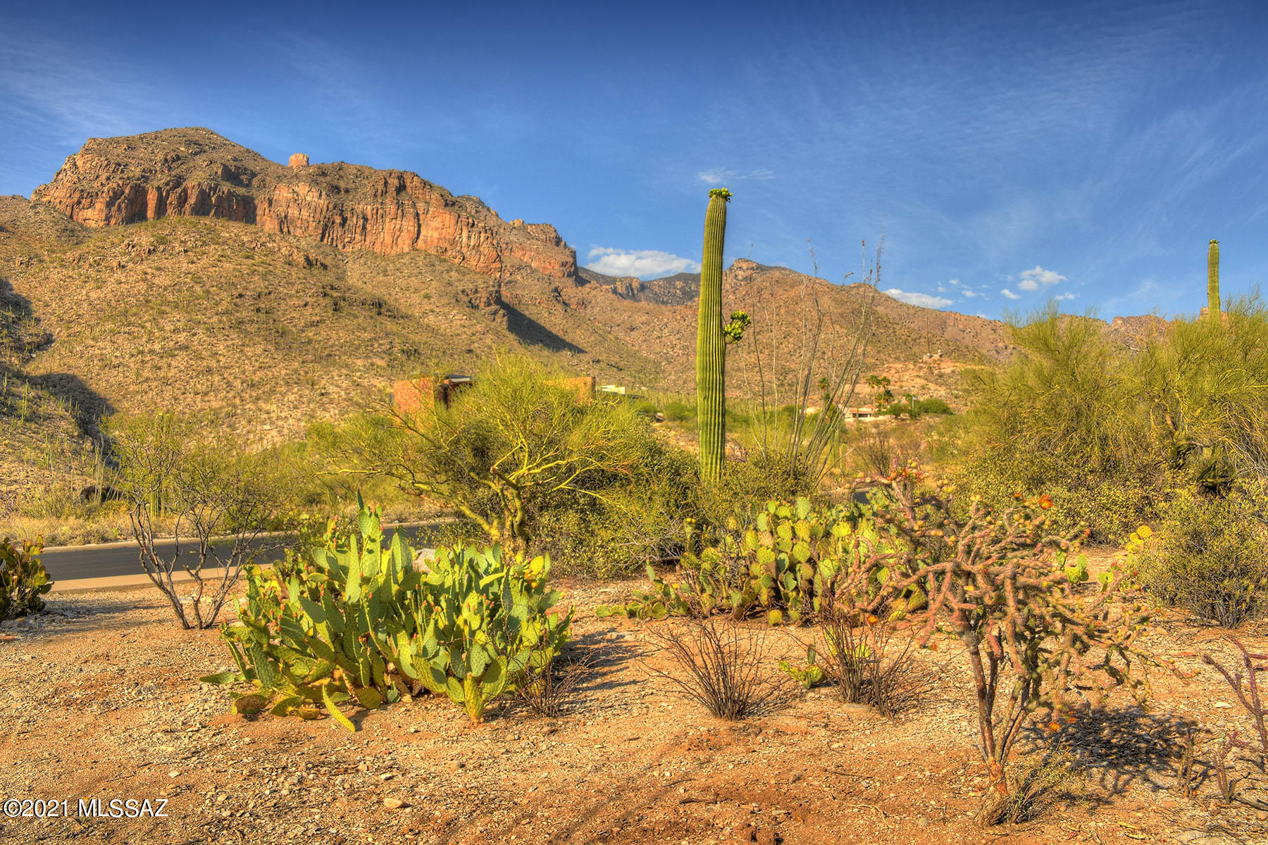 Catalina Ridge Estates(37-62) - Land