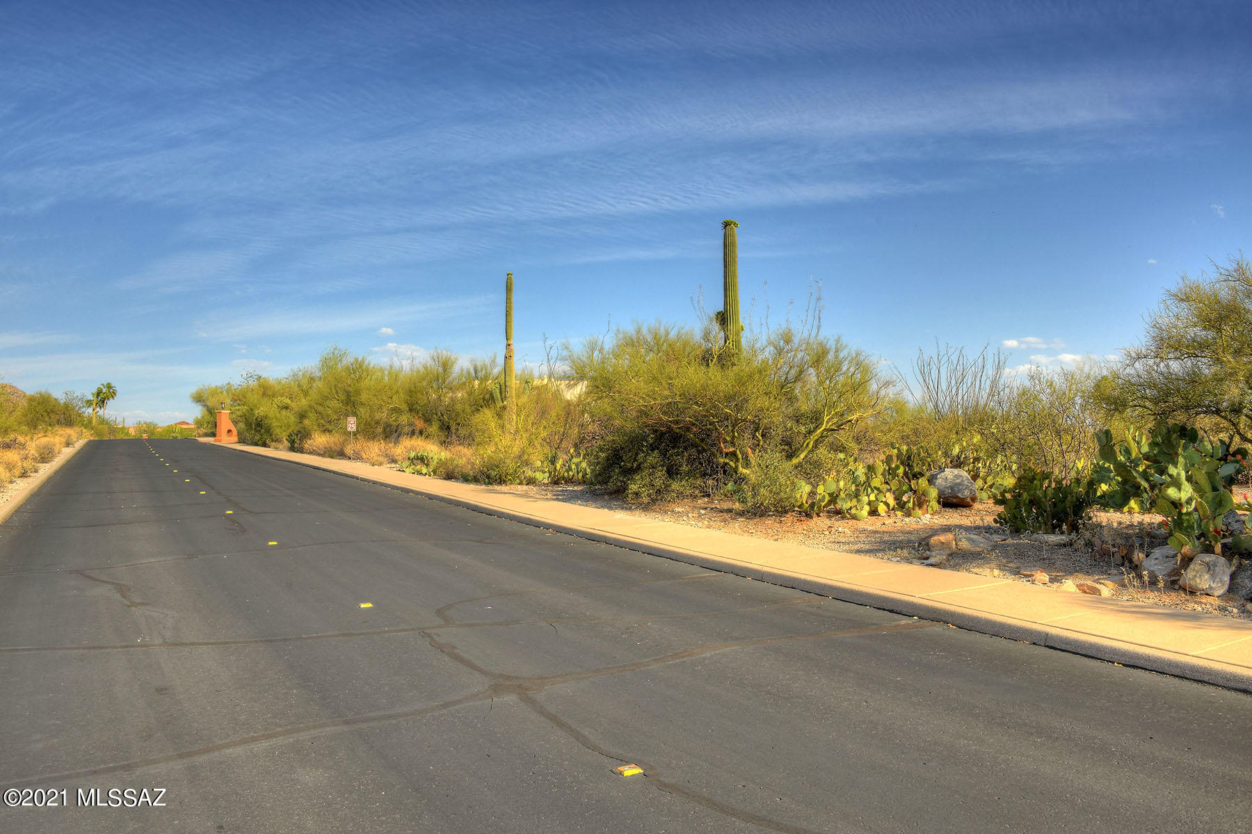 Catalina Ridge Estates(37-62) - Land