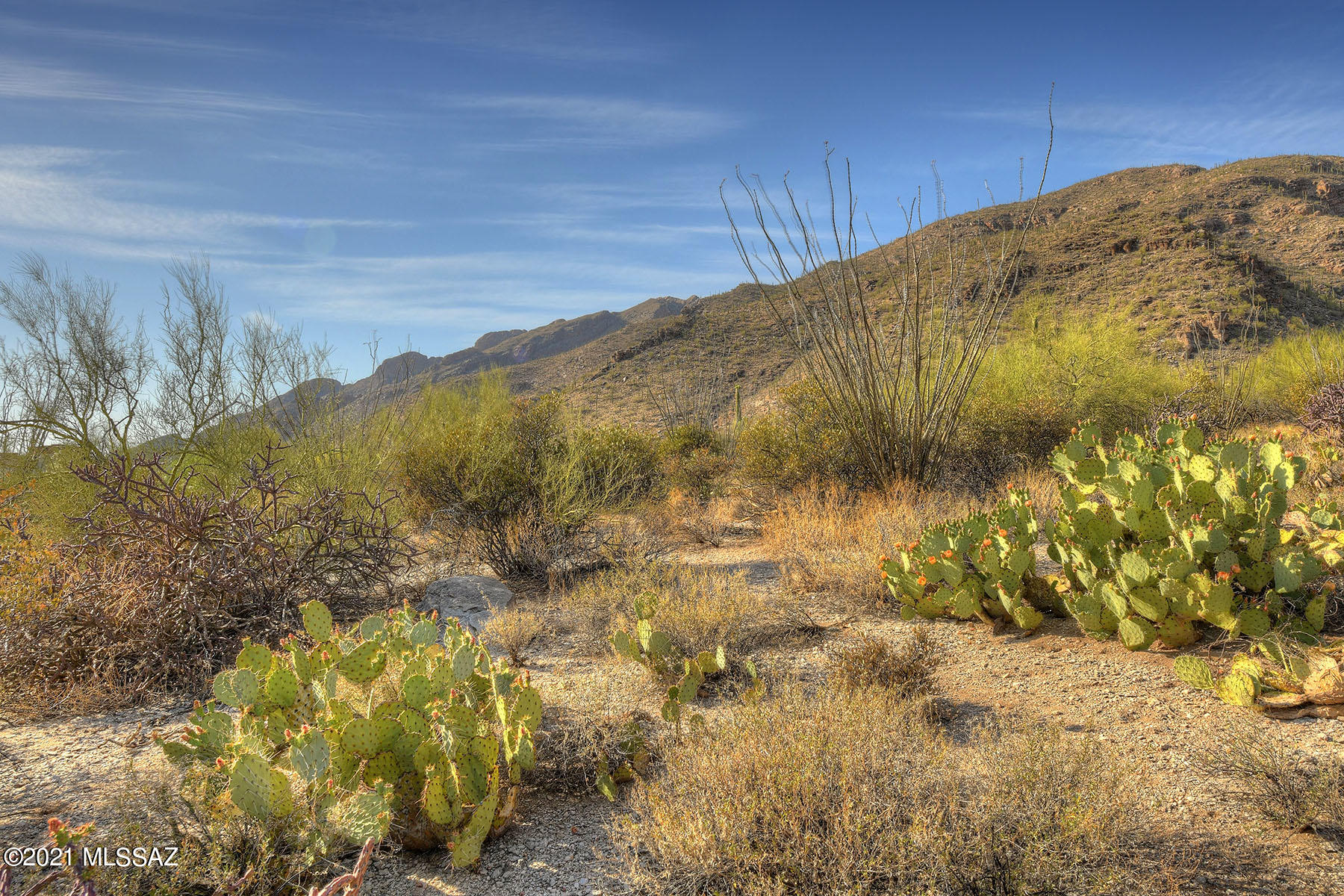 Catalina Ridge Estates(37-62) - Land