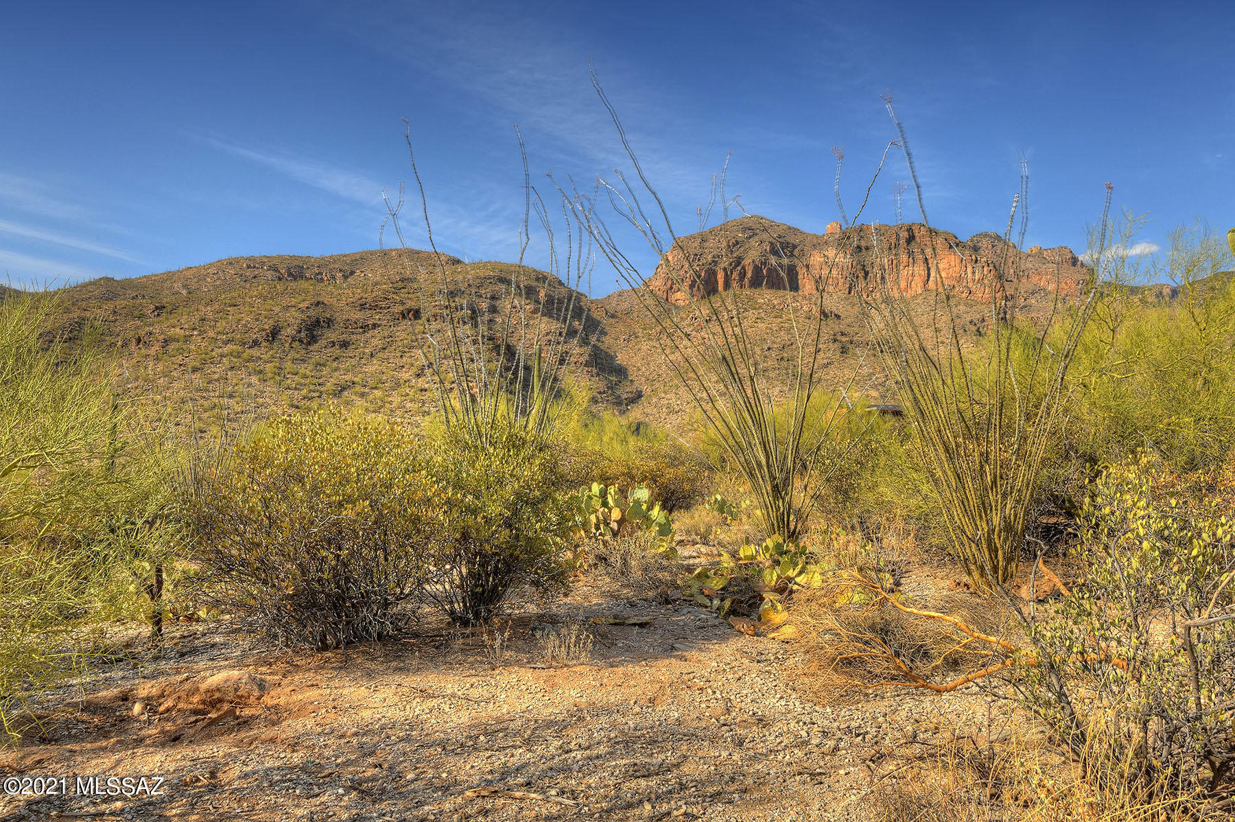 Catalina Ridge Estates(37-62) - Land