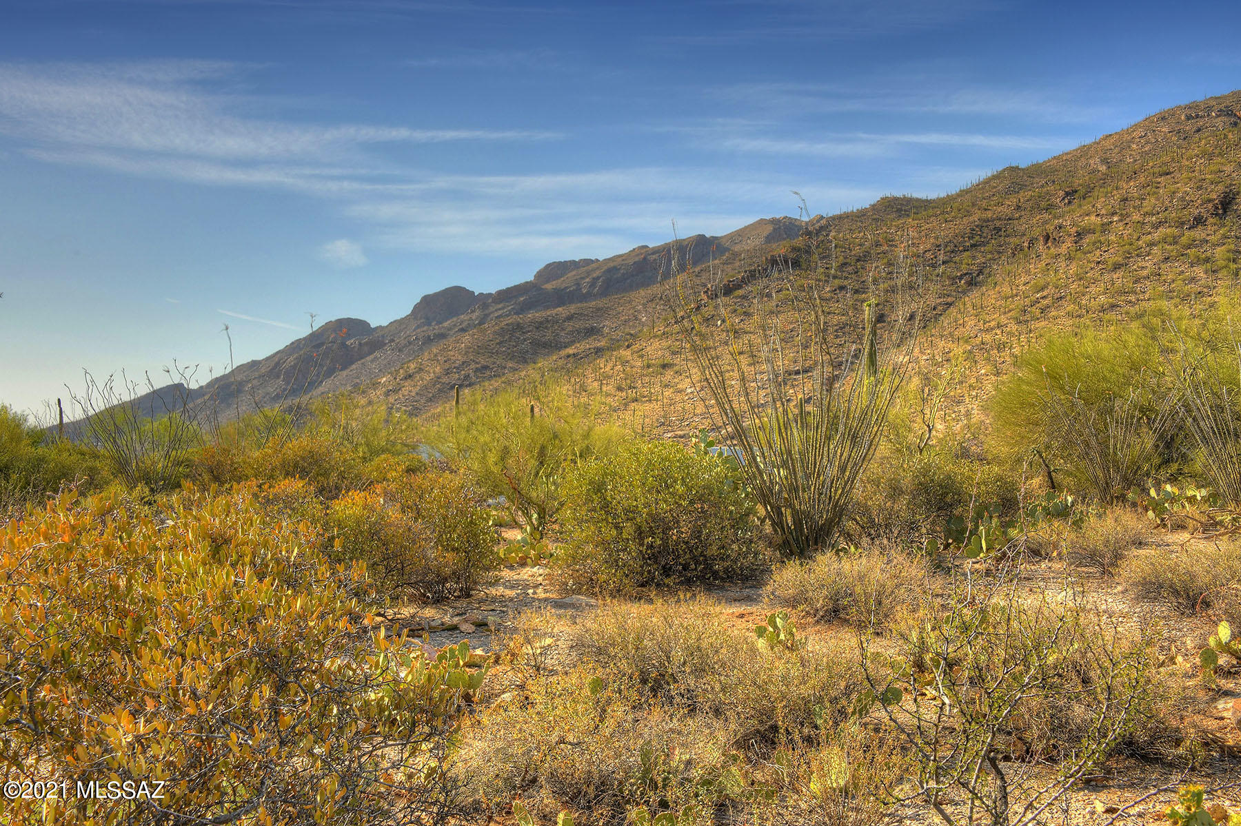 Catalina Ridge Estates(37-62) - Land