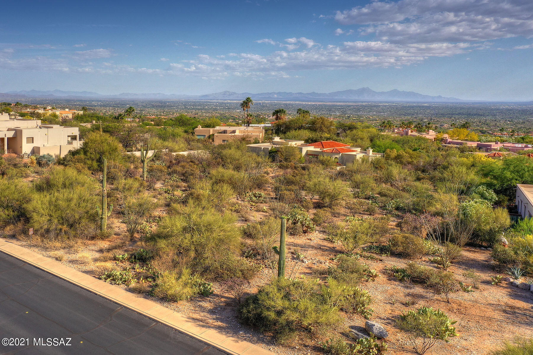 Catalina Ridge Estates(37-62) - Land