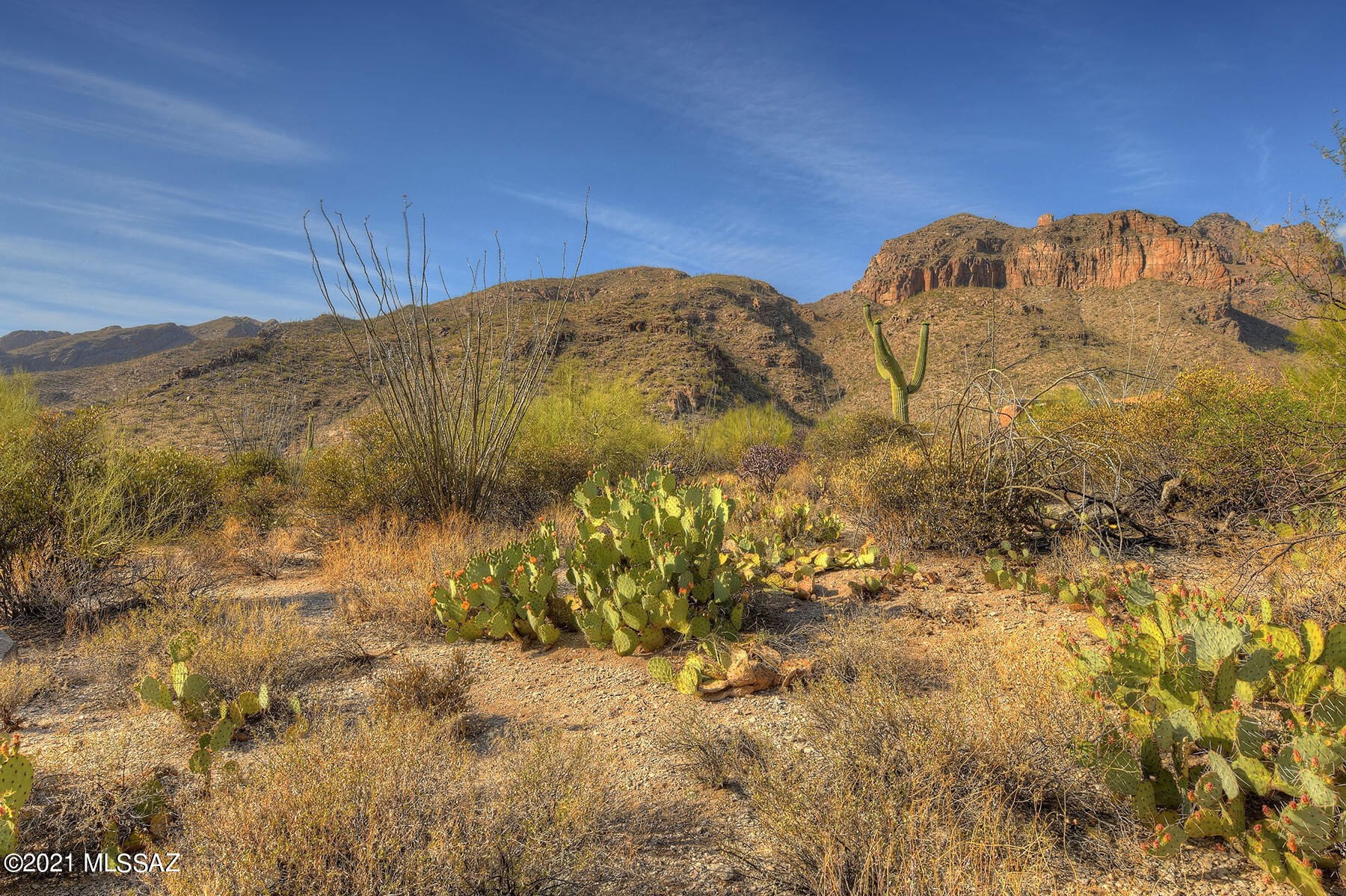 Catalina Ridge Estates(37-62) - Land
