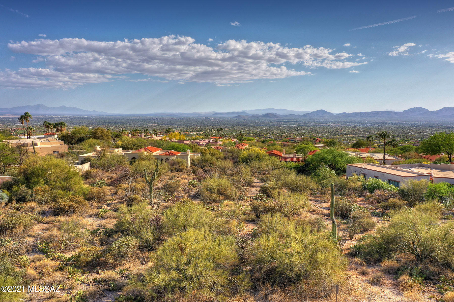 Catalina Ridge Estates(37-62) - Land