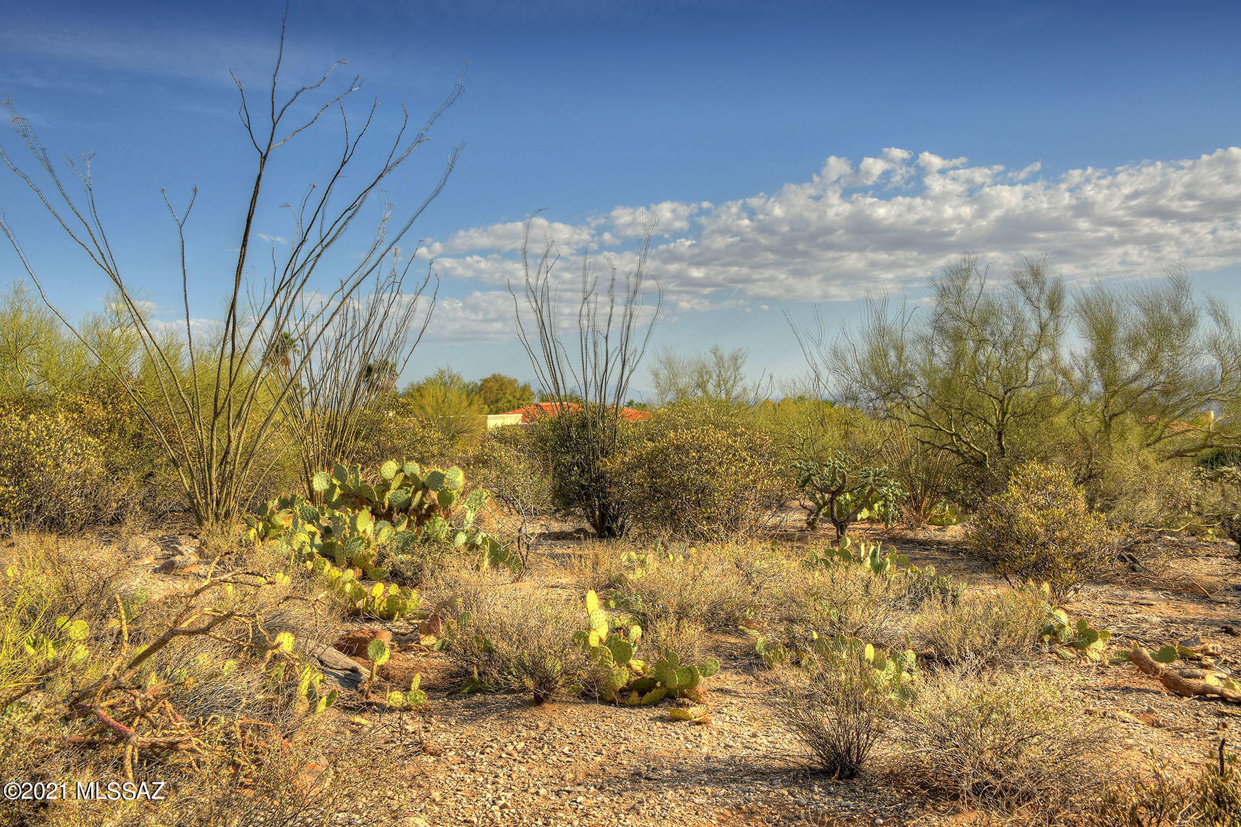 Catalina Ridge Estates(37-62) - Land