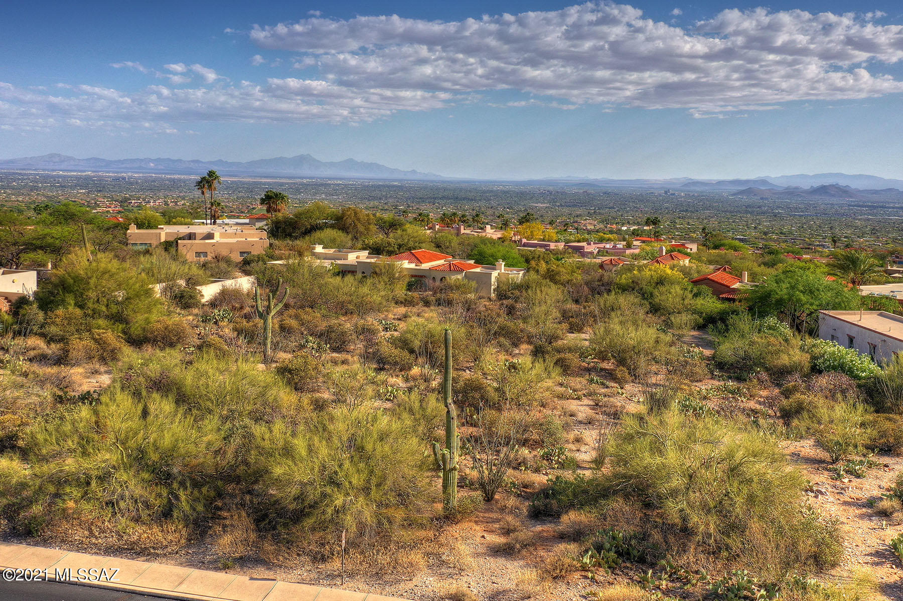 Catalina Ridge Estates(37-62) - Land