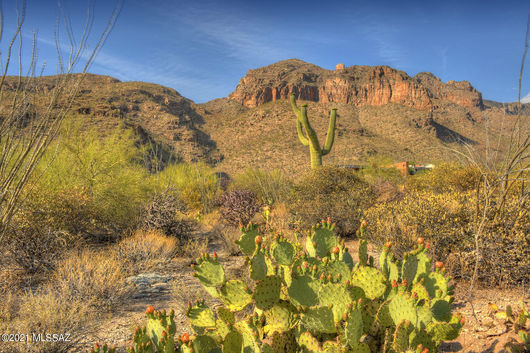 Catalina Ridge Estates(37-62) - Land