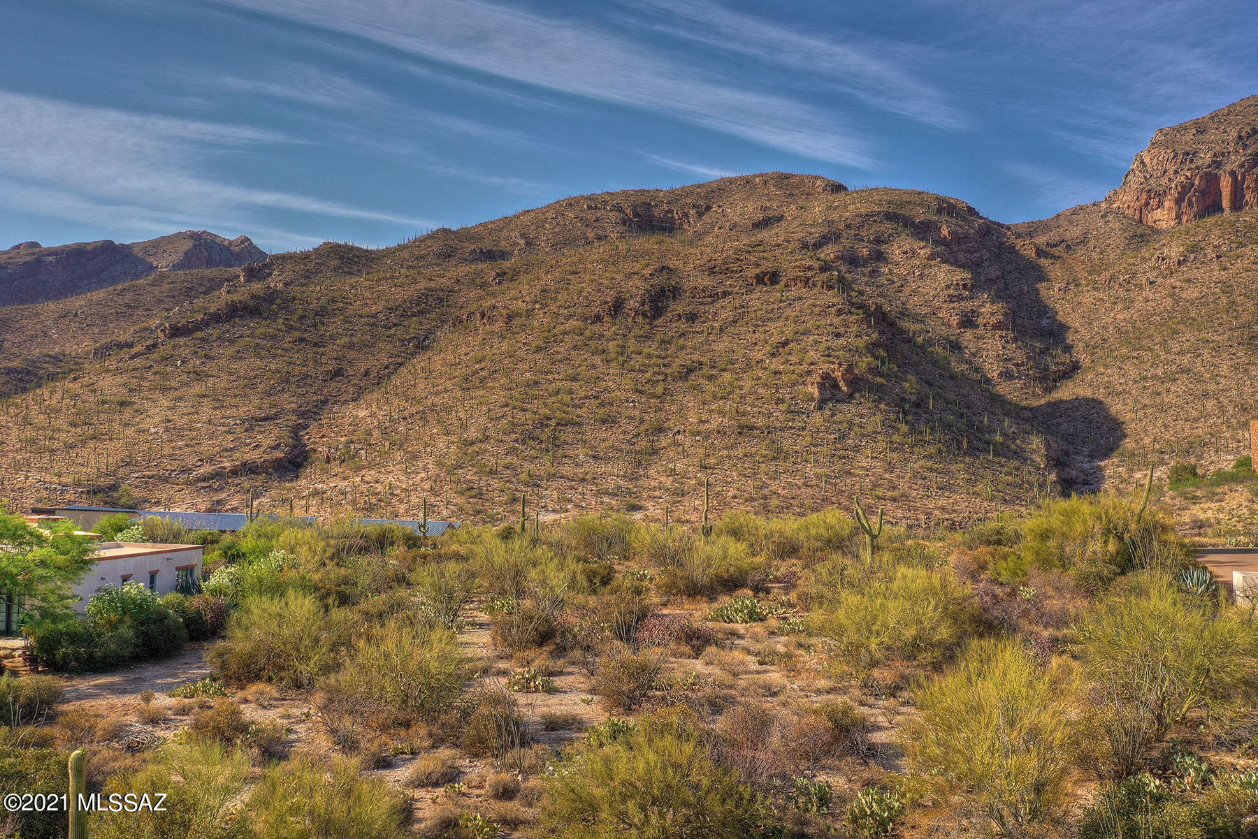 Catalina Ridge Estates(37-62) - Land