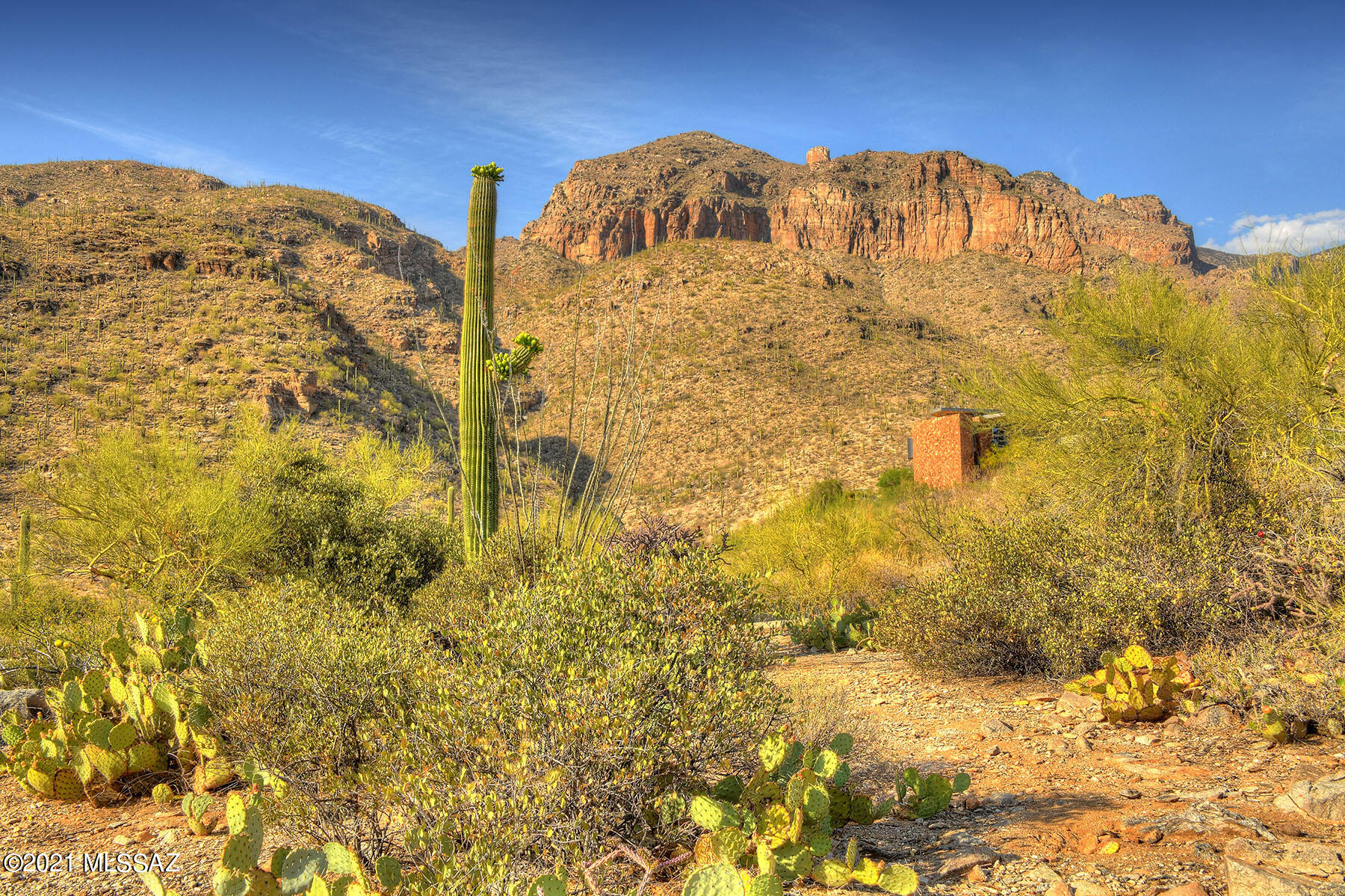 Catalina Ridge Estates(37-62) - Land