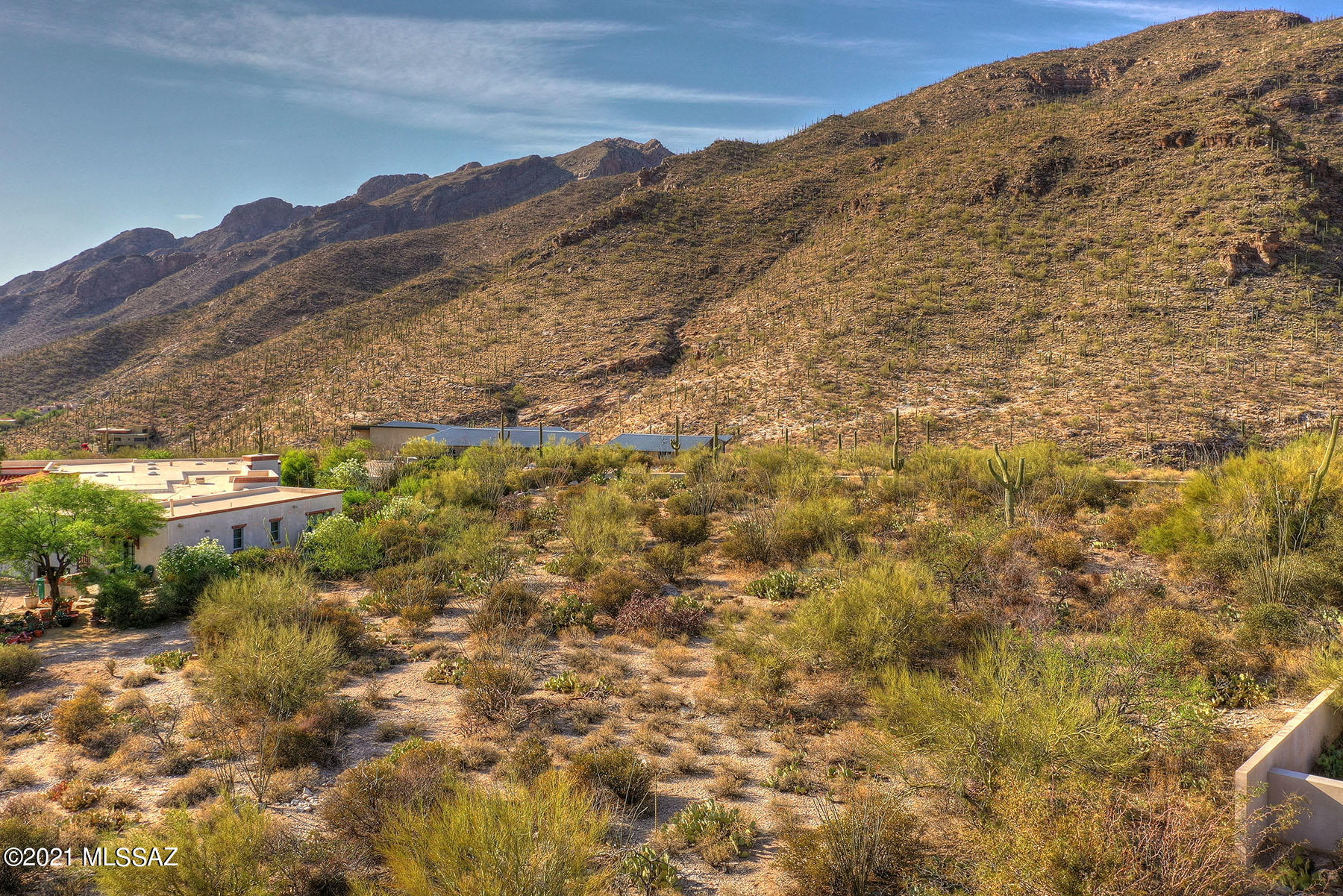 Catalina Ridge Estates(37-62) - Land