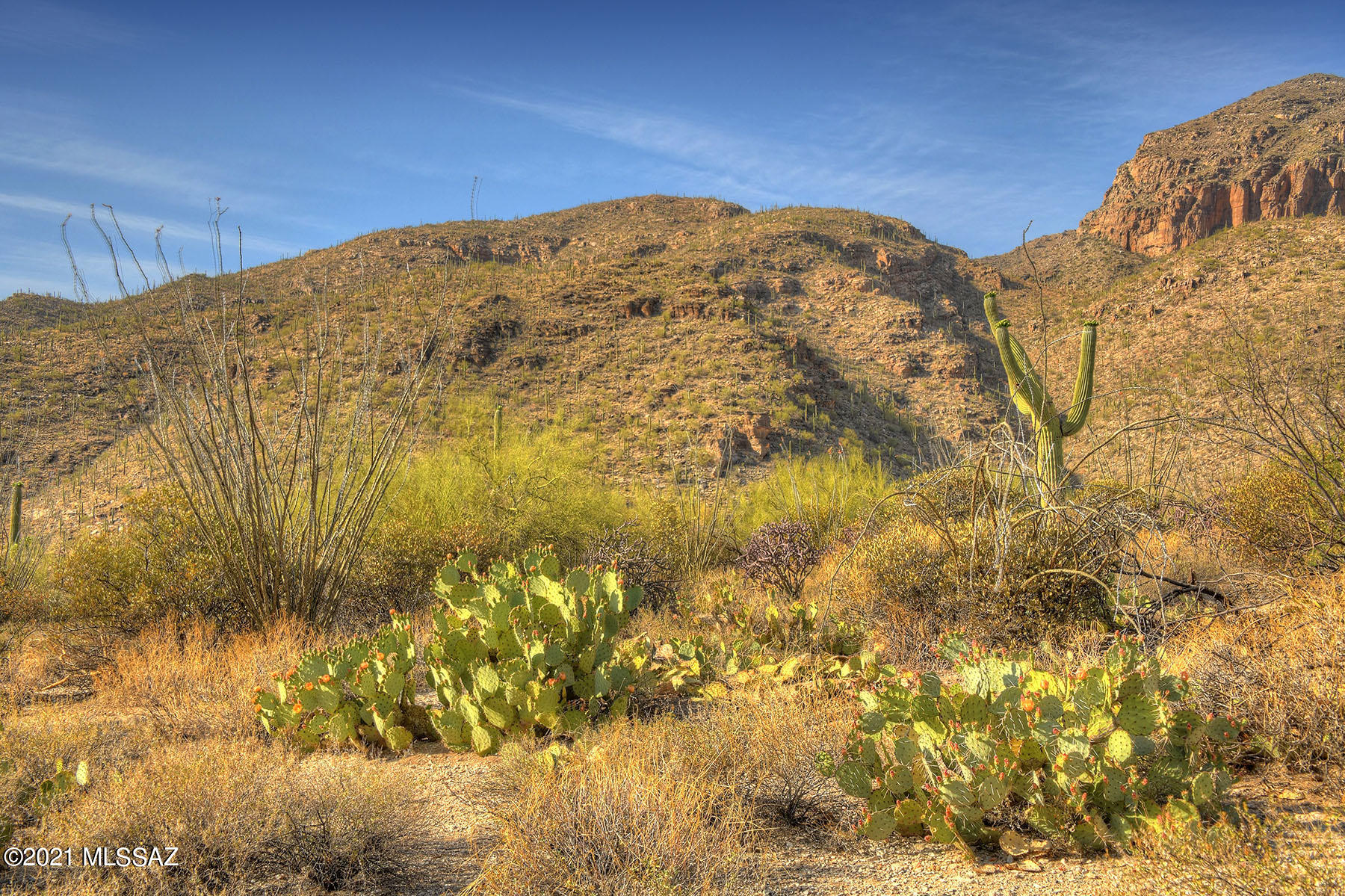 Catalina Ridge Estates(37-62) - Land
