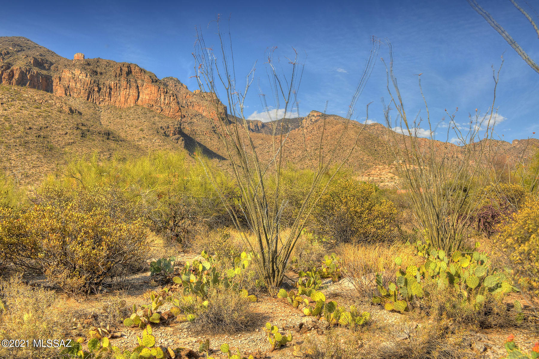 Catalina Ridge Estates(37-62) - Land