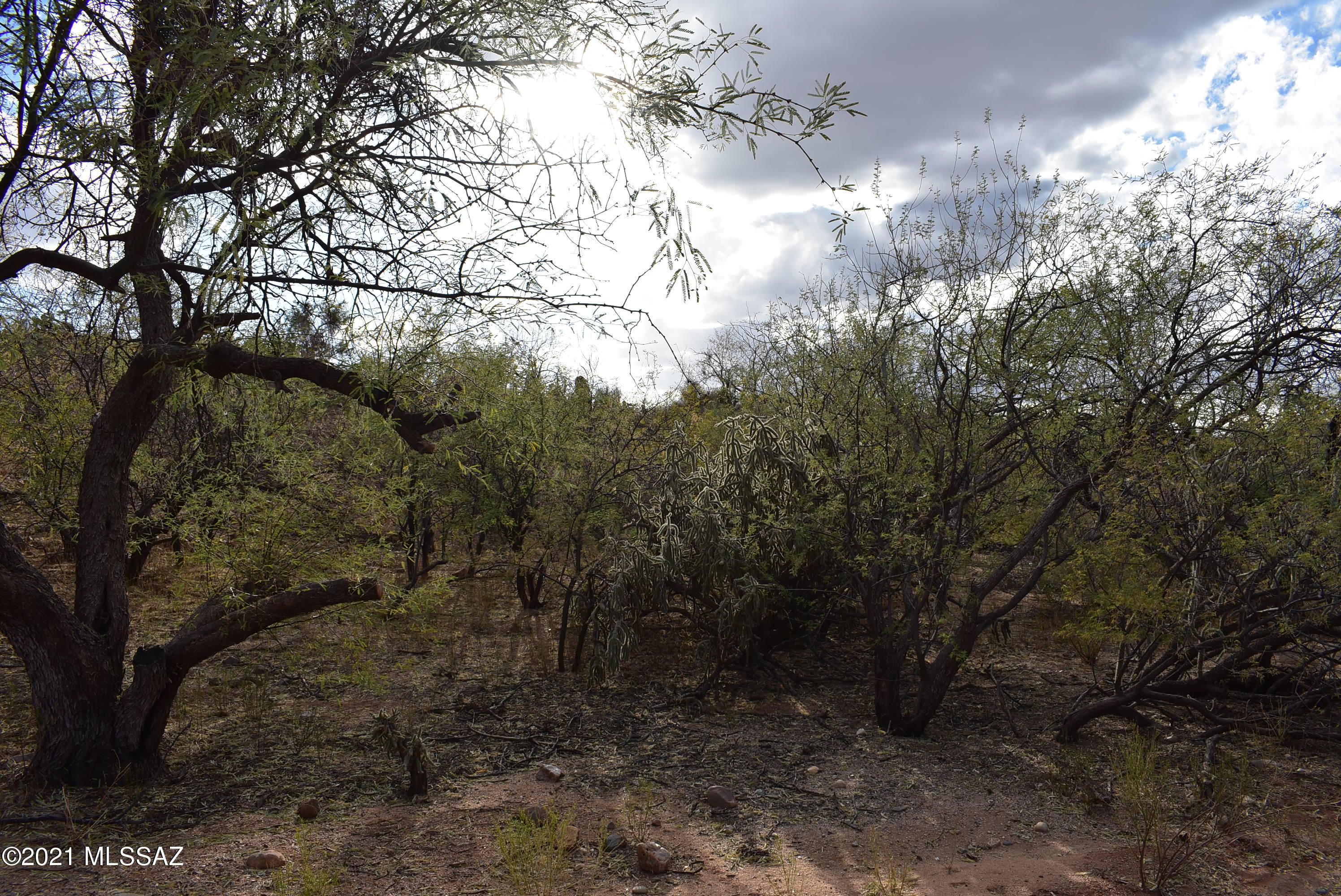 Twin Lakes Mobile Estates (22-67) - Land