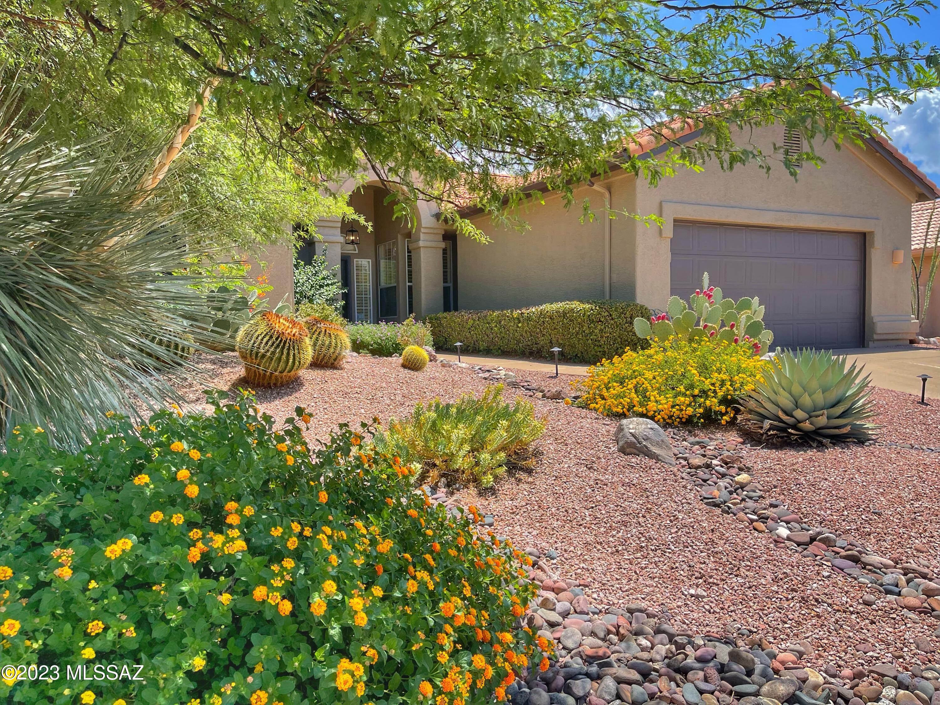 Saddlebrooke - Residential