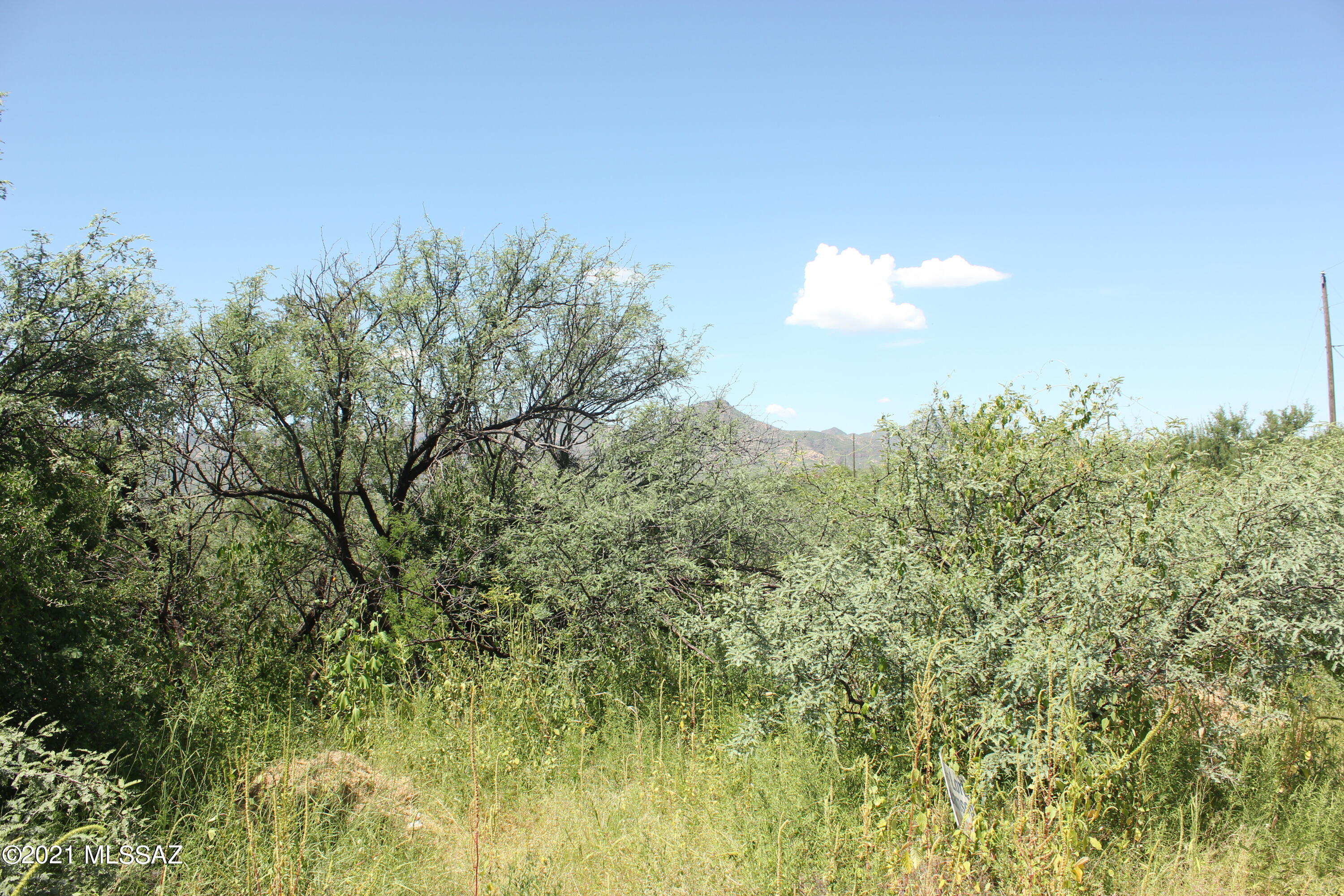 Rio Rico Villas 11 - Land