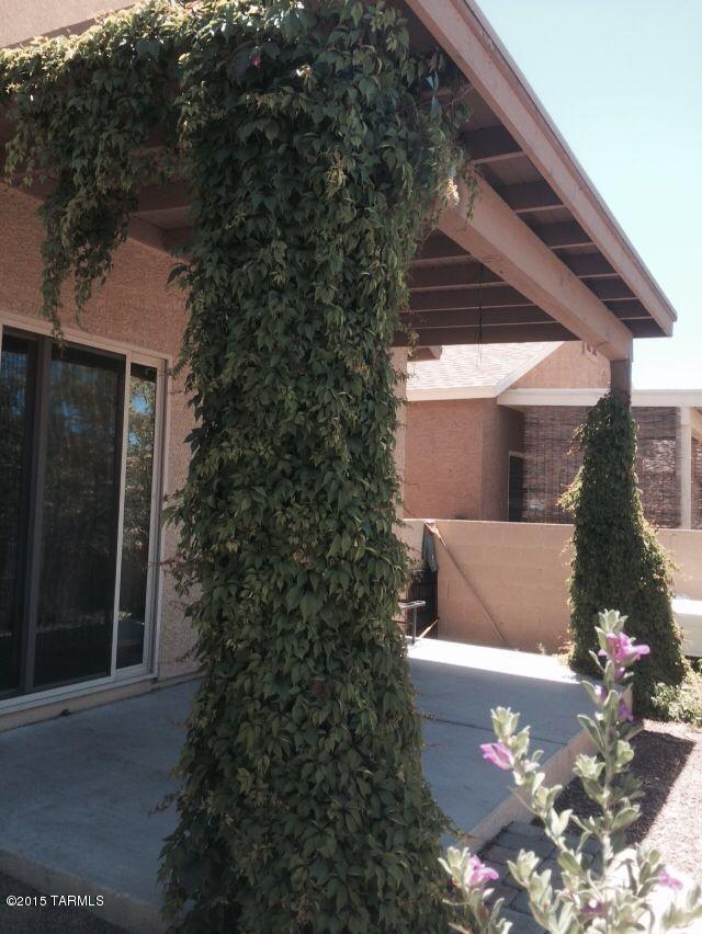 Desert Shadows (1-118) - Residential Lease