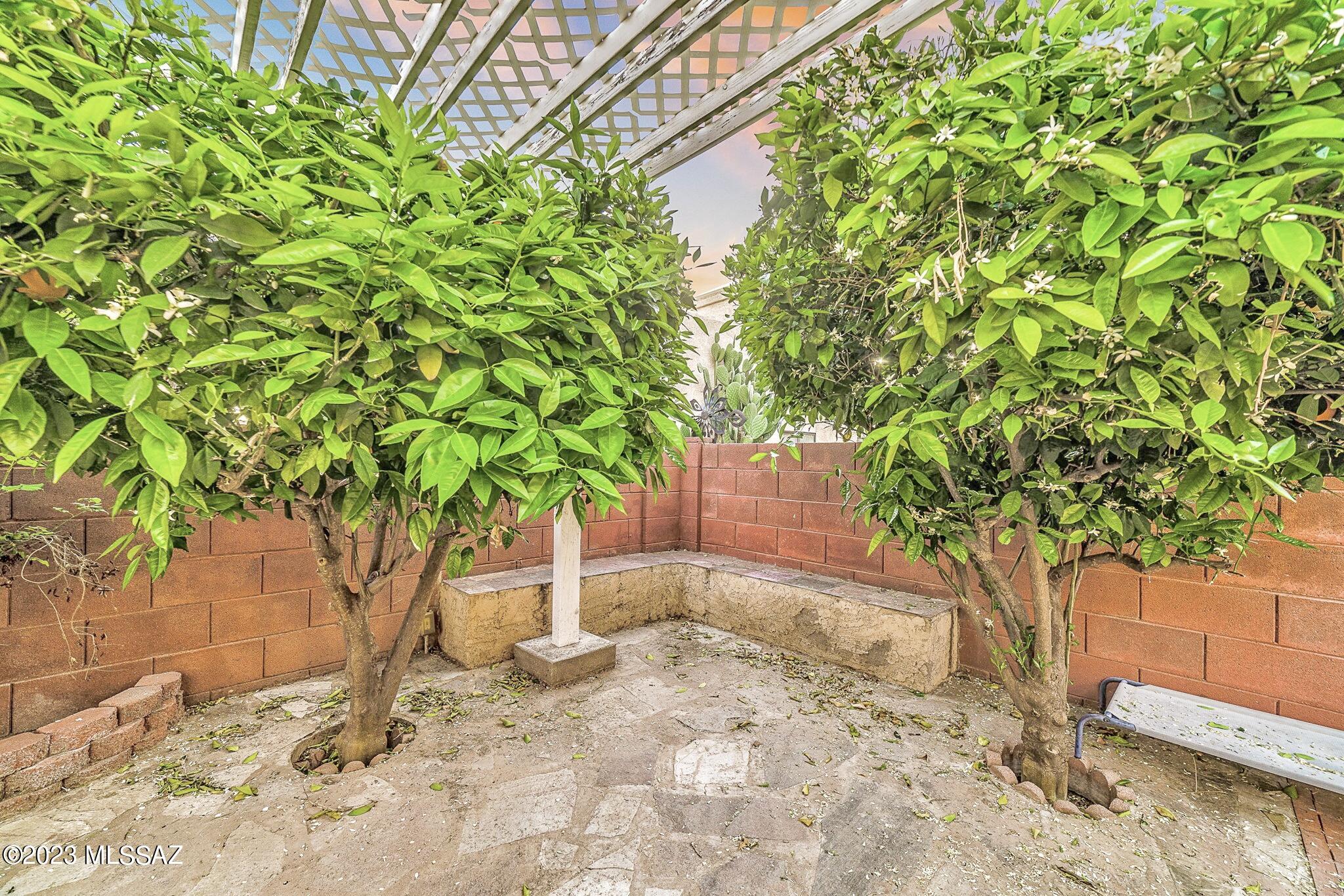 Pima Hollow Patio Homes - Residential