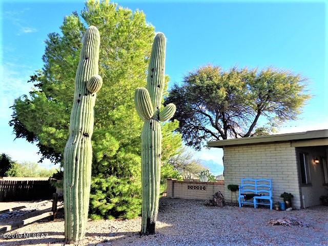 Colonia De Los Alamos - Villages - Residential