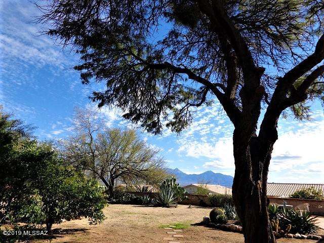 Colonia De Los Alamos - Villages - Residential