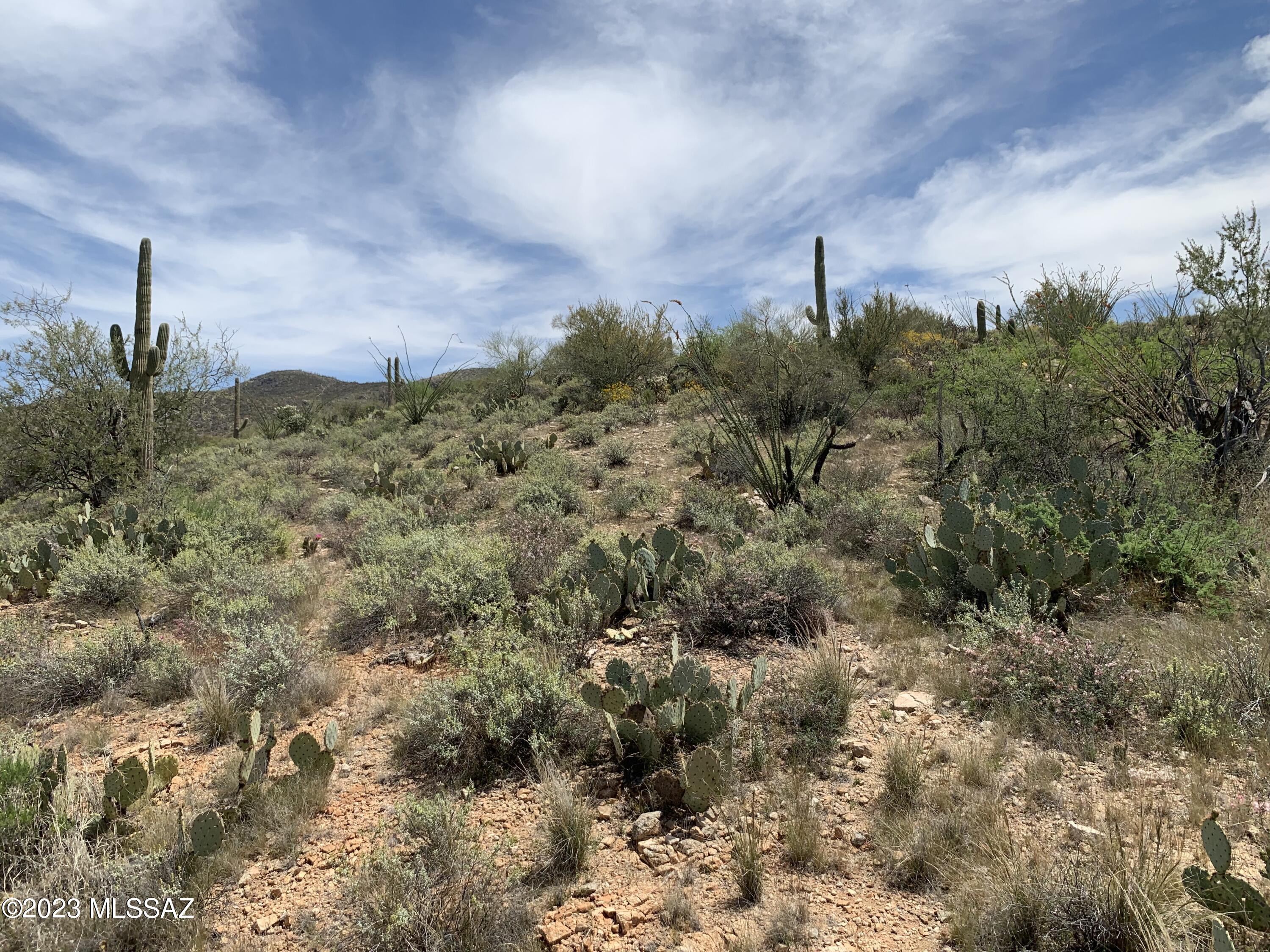 Foothills of the Tortolita Mountains! Perch your future home on one of the highest hilltops in the area. 2952ft per USGS map. Enjoy magnificent views of the surrounding mountain and canyon wilderness. Views of Saguaros in all directions. Dramatic canyon in eastern most part of the property. Visit, hike, and imagine what you can do with this amazing natural desert property!