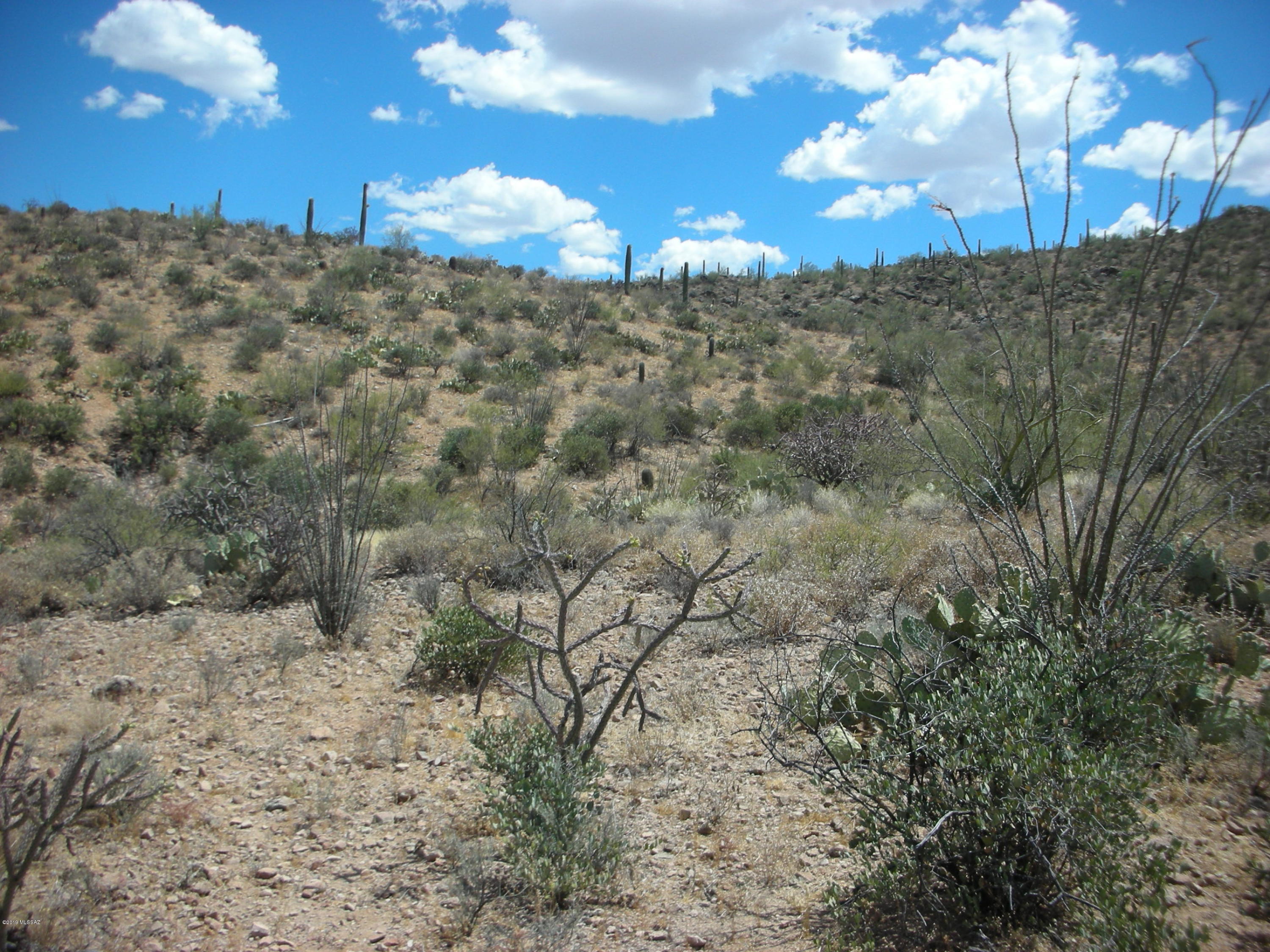Wildcat Pass (1-61) - Land