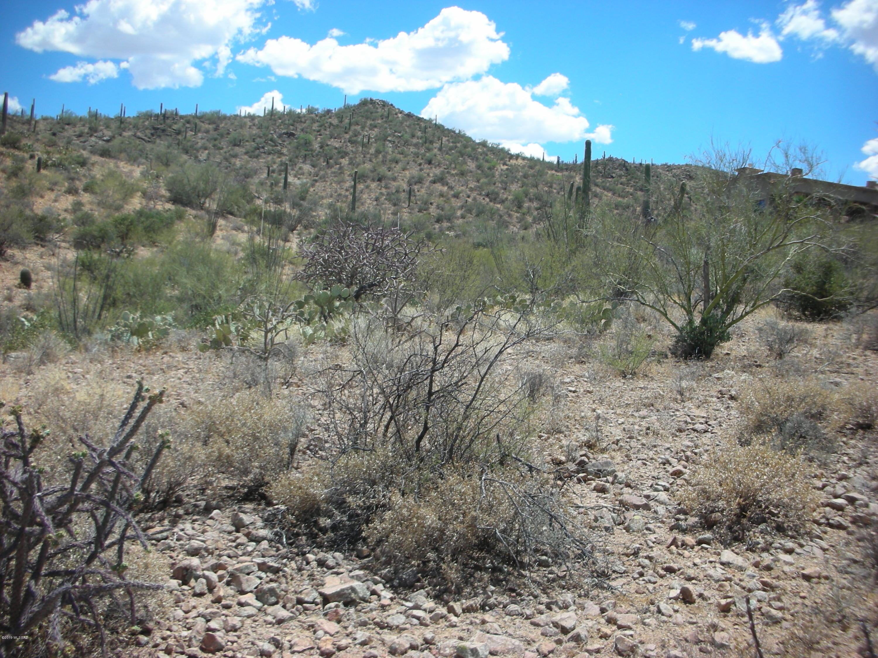 Wildcat Pass (1-61) - Land