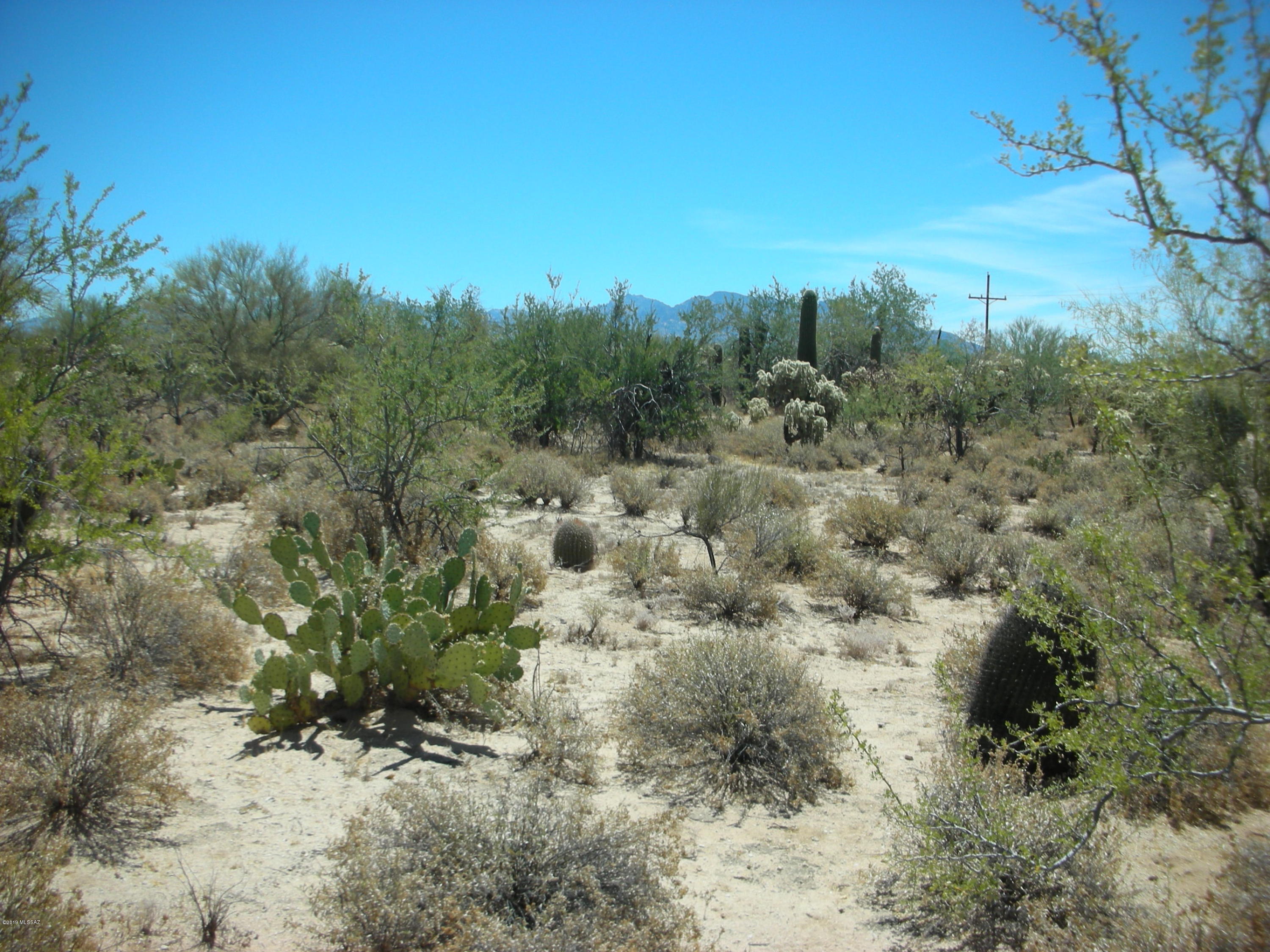 Wildcat Pass (1-61) - Land