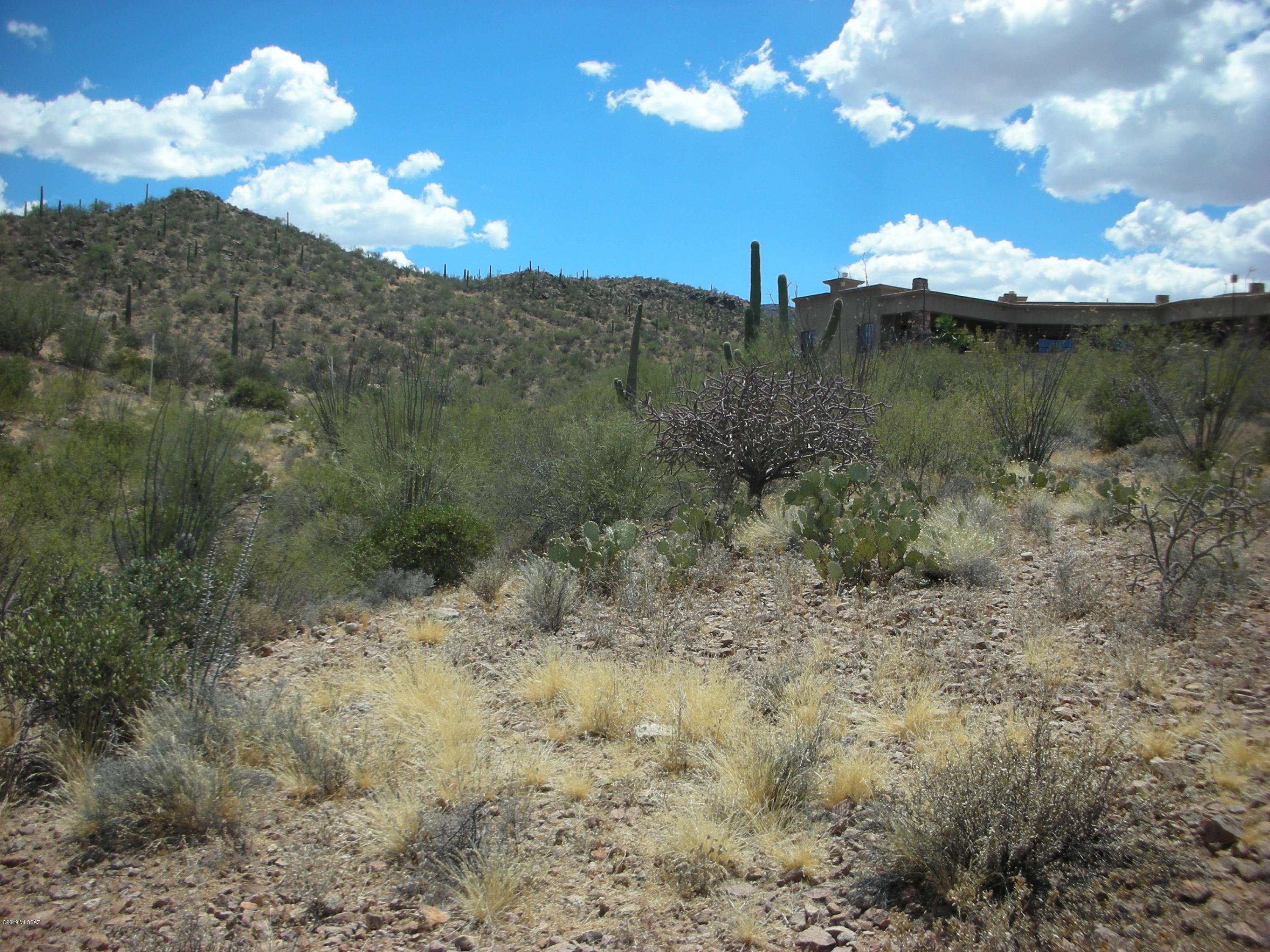 Wildcat Pass (1-61) - Land