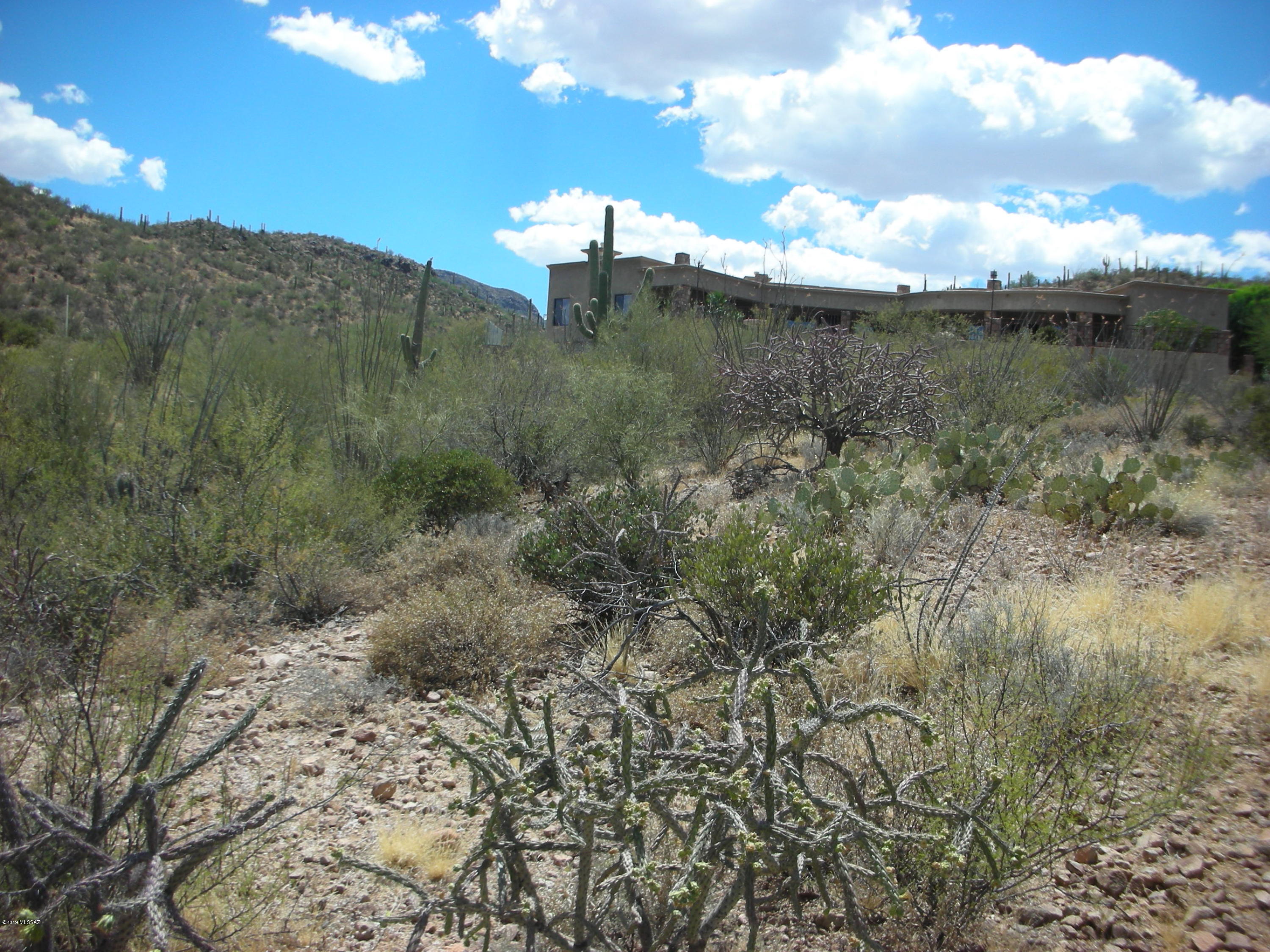 Wildcat Pass (1-61) - Land