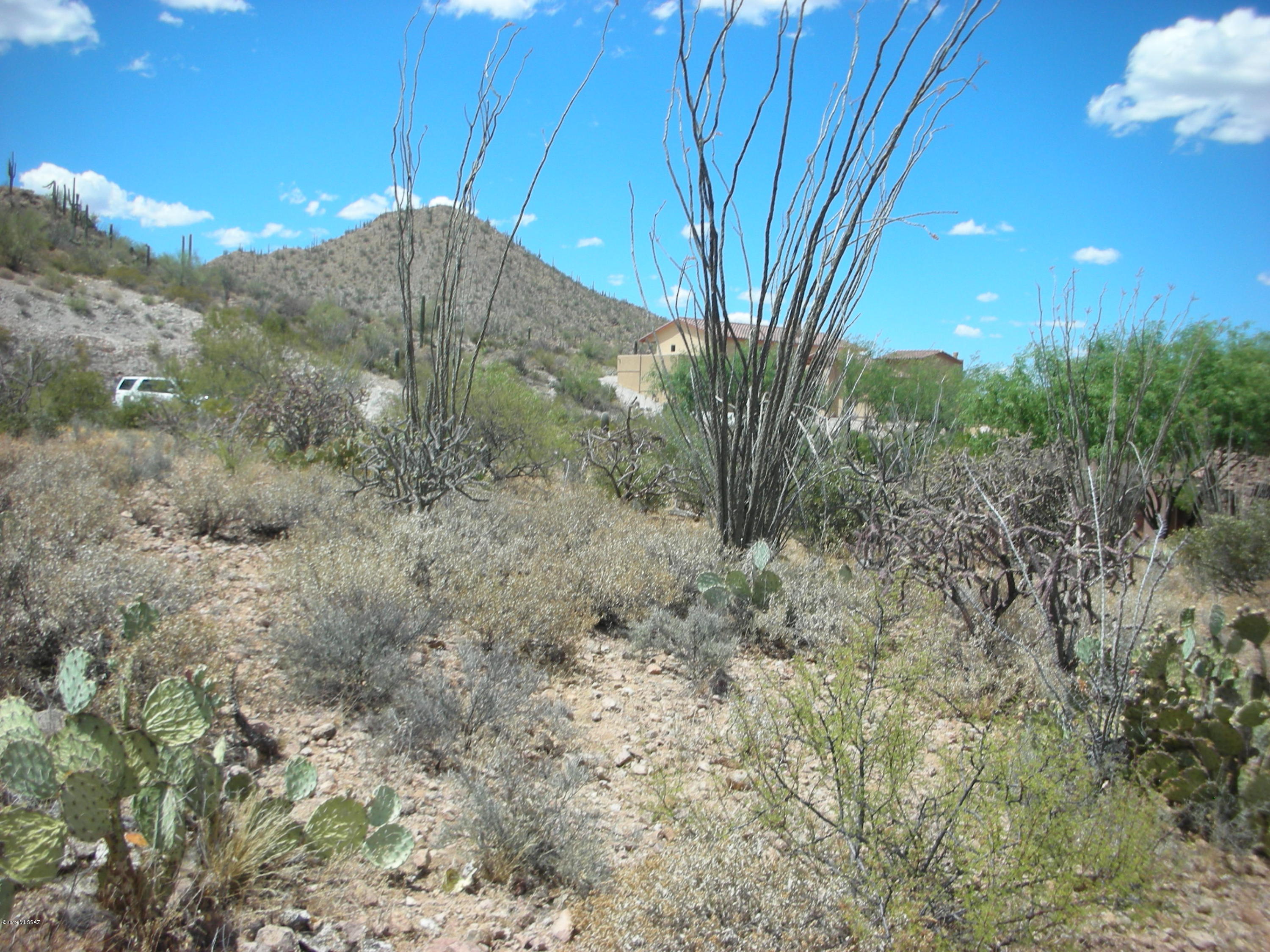 Wildcat Pass (1-61) - Land