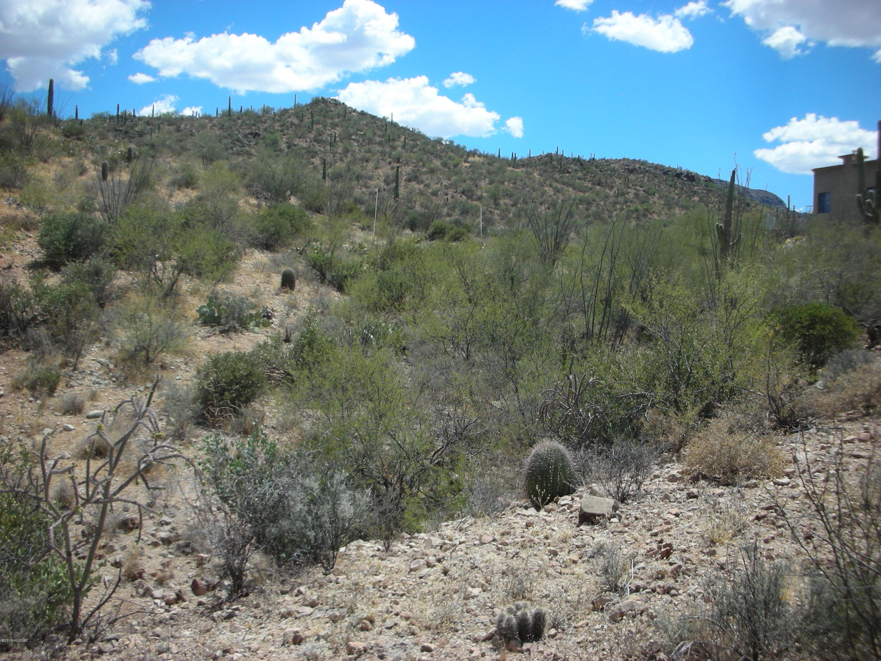 Wildcat Pass (1-61) - Land