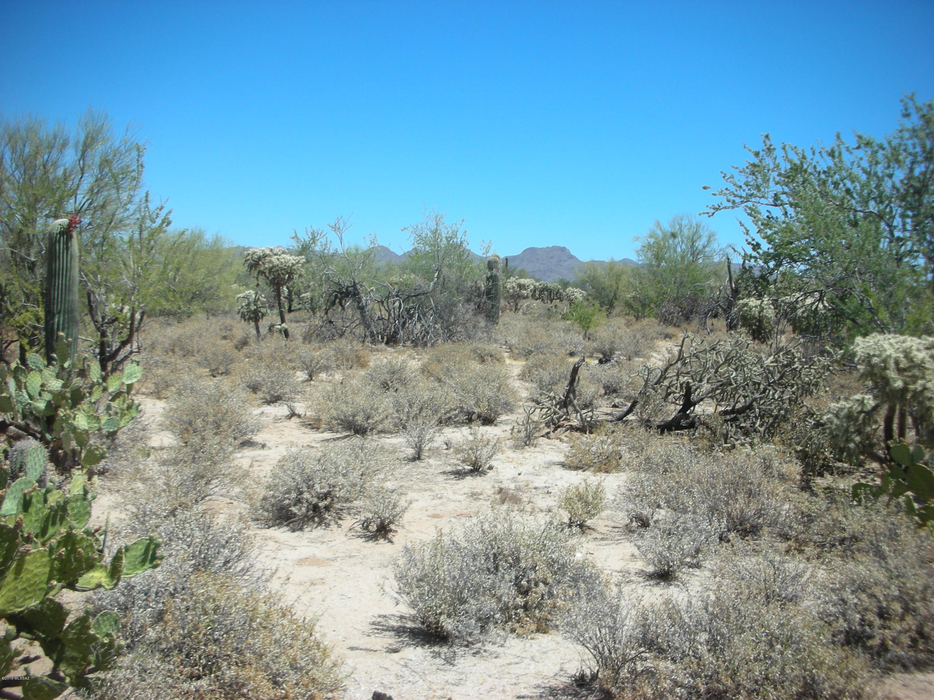 Wildcat Pass (1-61) - Land