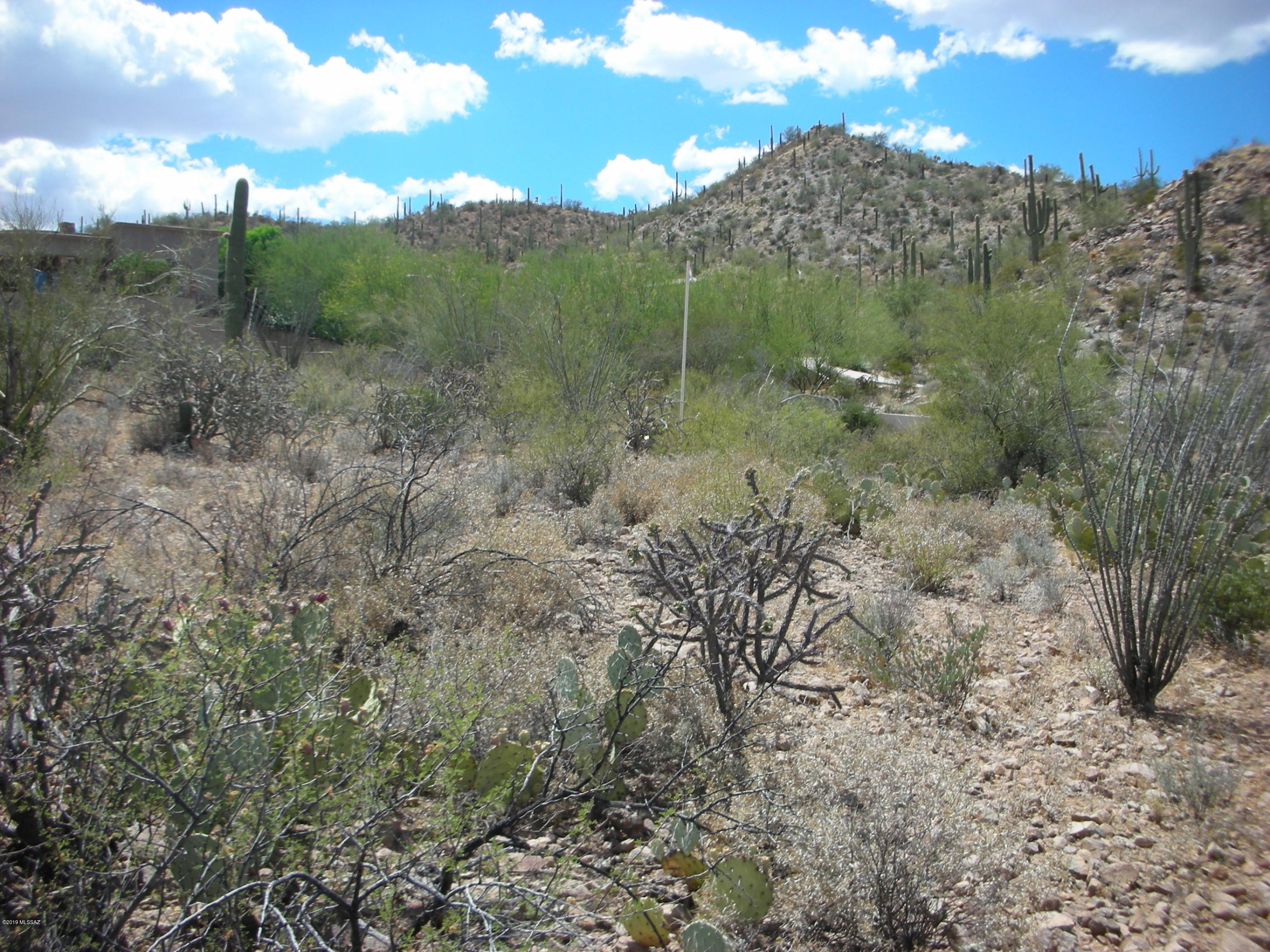Wildcat Pass (1-61) - Land