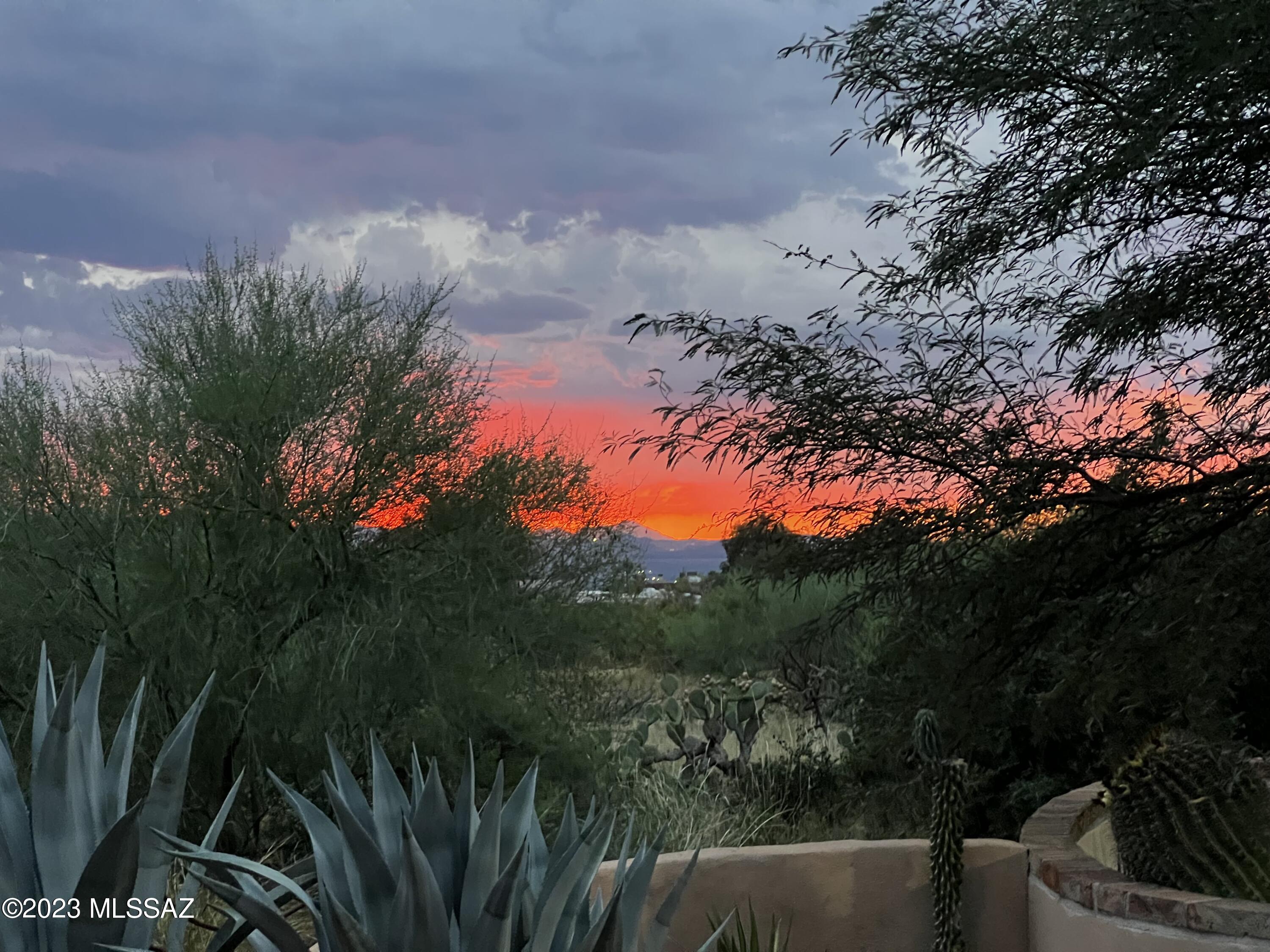 New Tucson Unit NO. 4 (1-203) - Residential