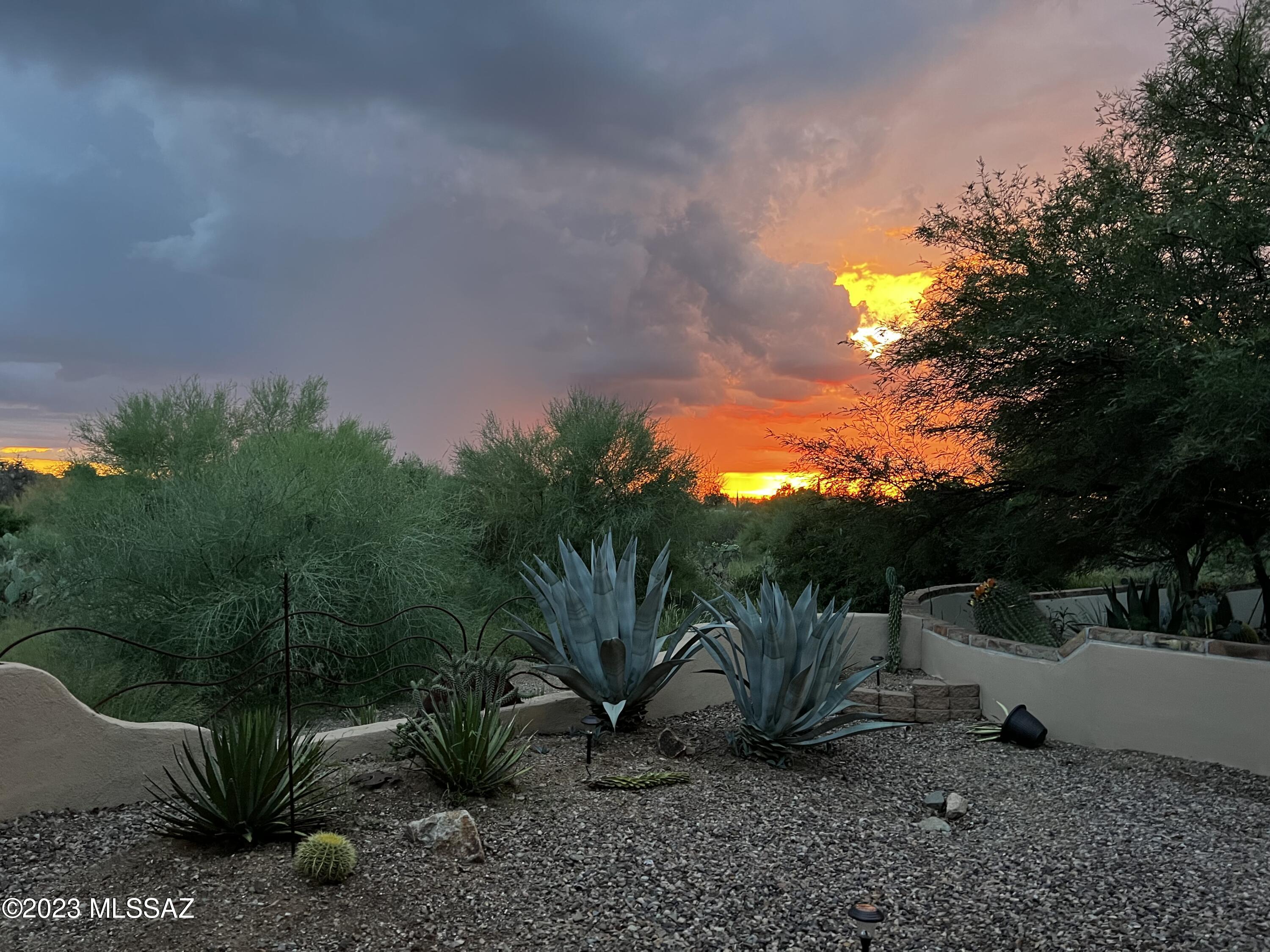New Tucson Unit NO. 4 (1-203) - Residential