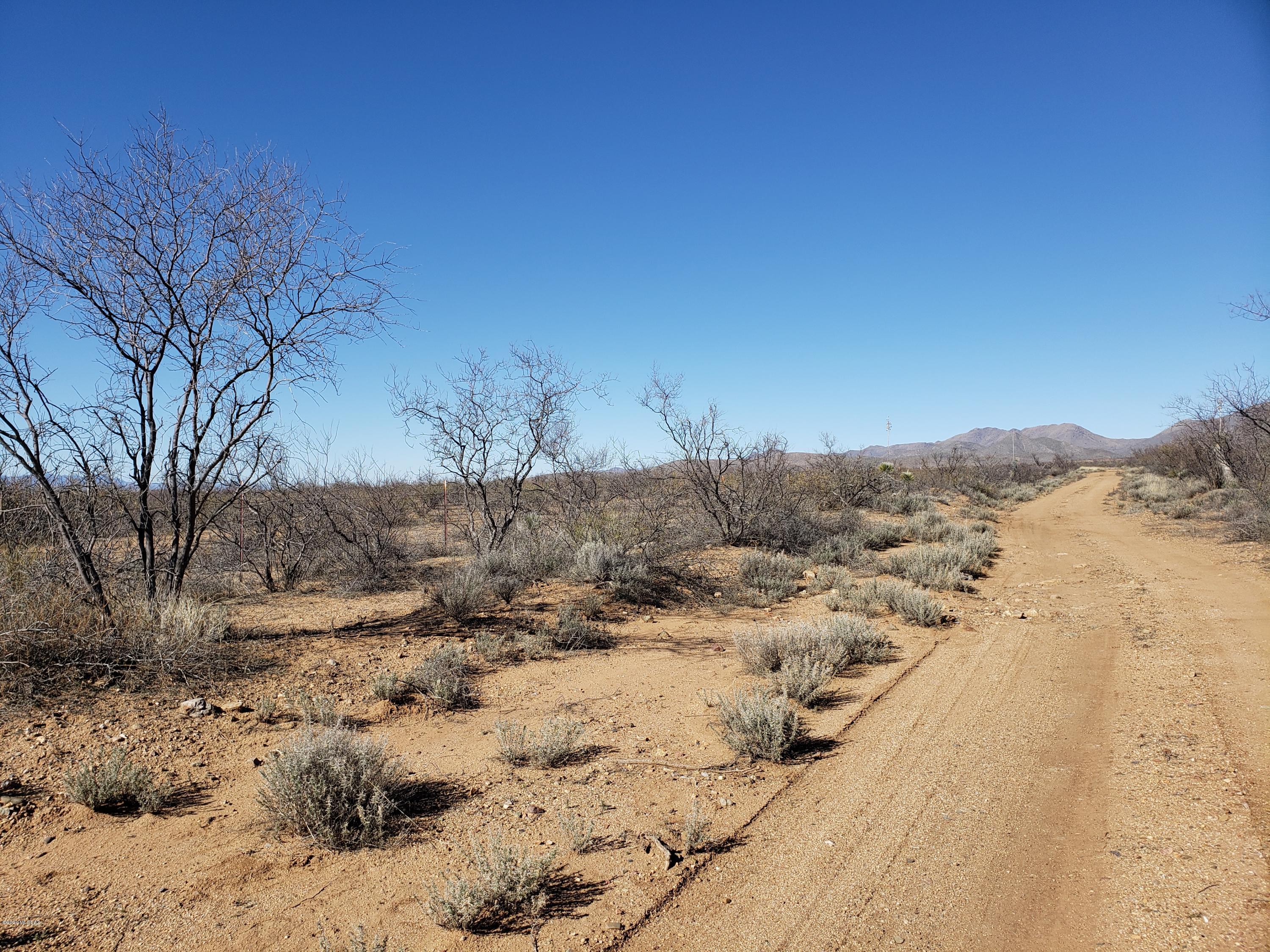 Chiracahua Trail Ranches - Land